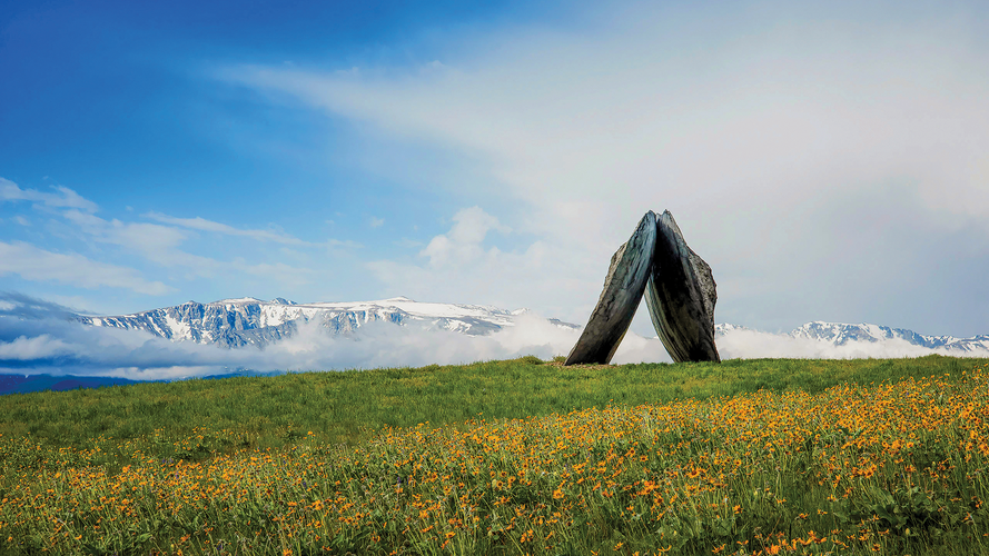tippet rise_nature.png
