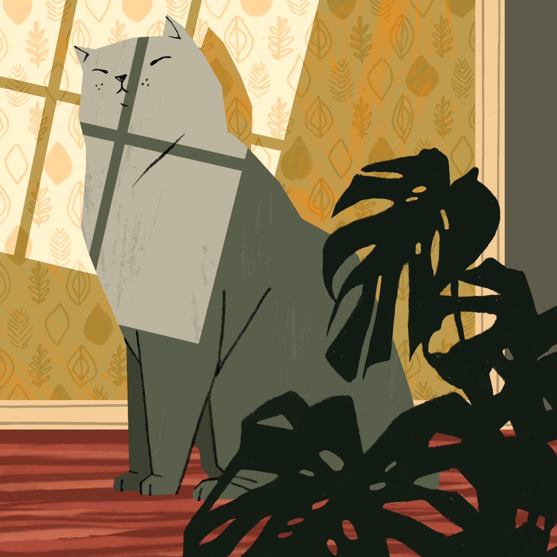 Cat in Afternoon Light