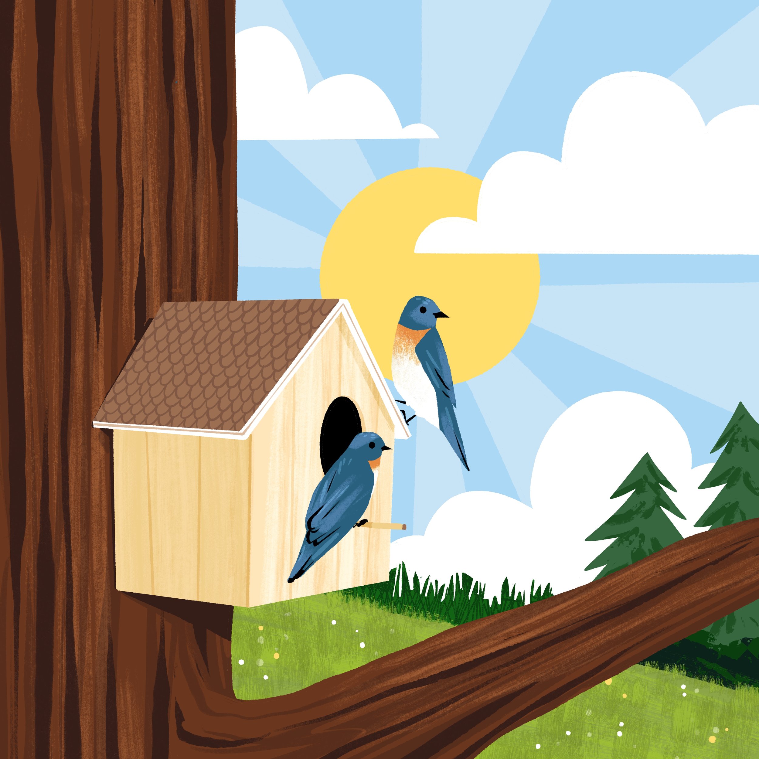 Drew Bardana Illustration - Morning Birds and a Birdhouse