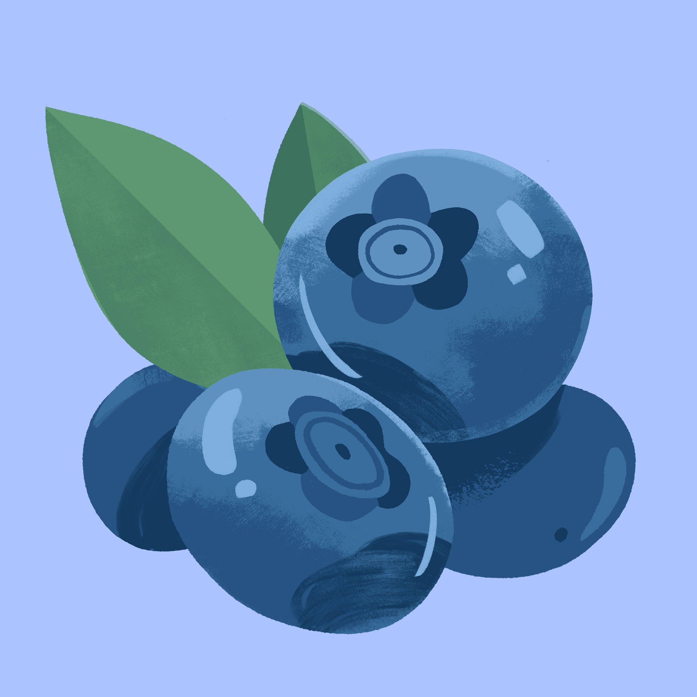 Blueberries_V3 copy.jpg