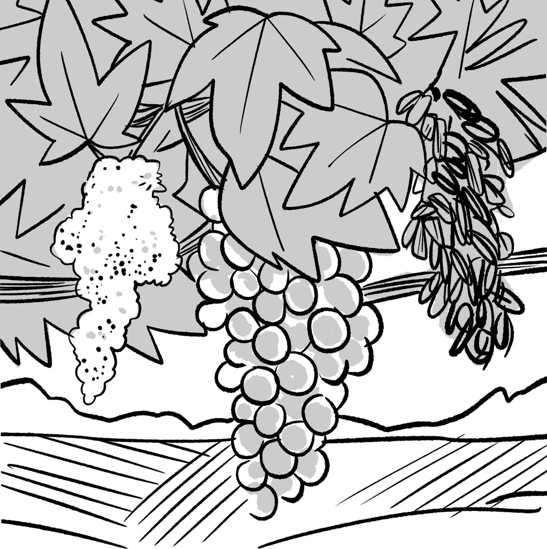 Wine Generations Sketch_0000_Layer 40.jpg