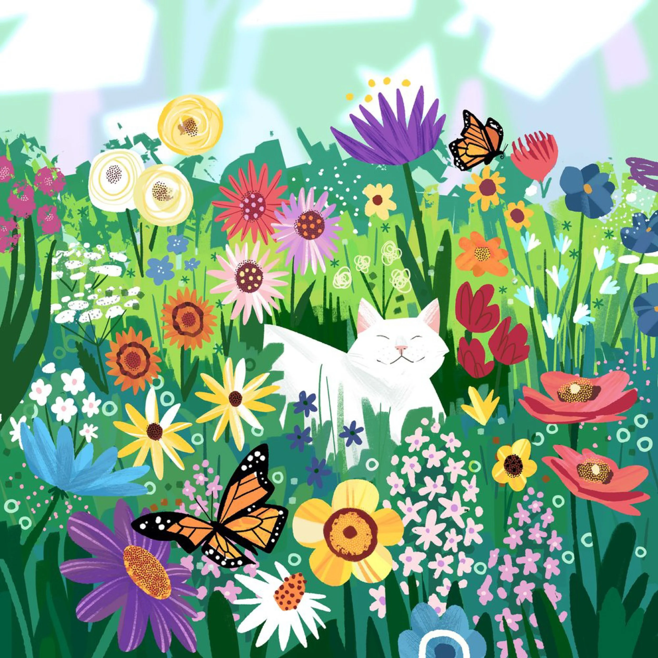 Drew-Bardana_Animals-and-Nature__2.jpg