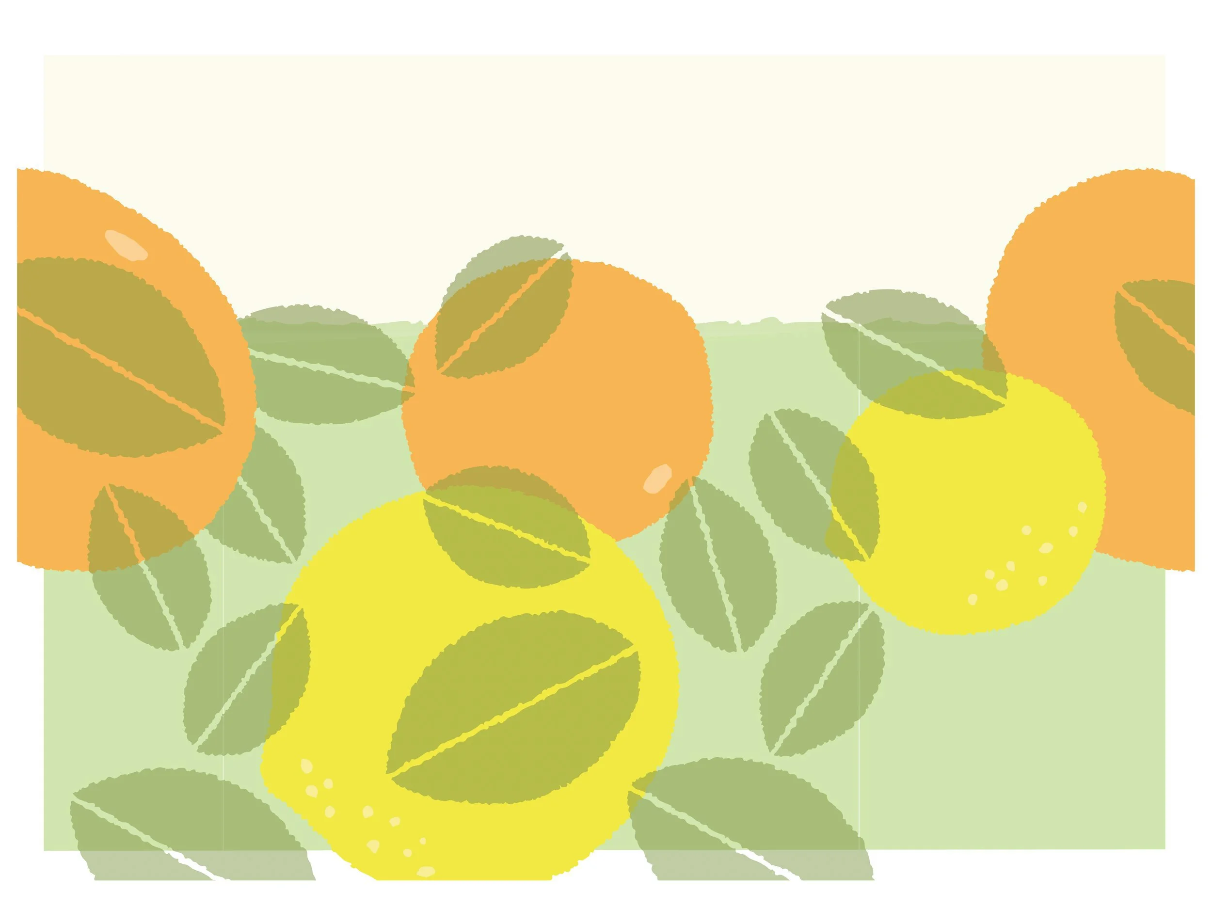 Drew-Bardana_Brand-Illustration_Dillons-Gin_Product-Packaging-Beverage_3.jpg