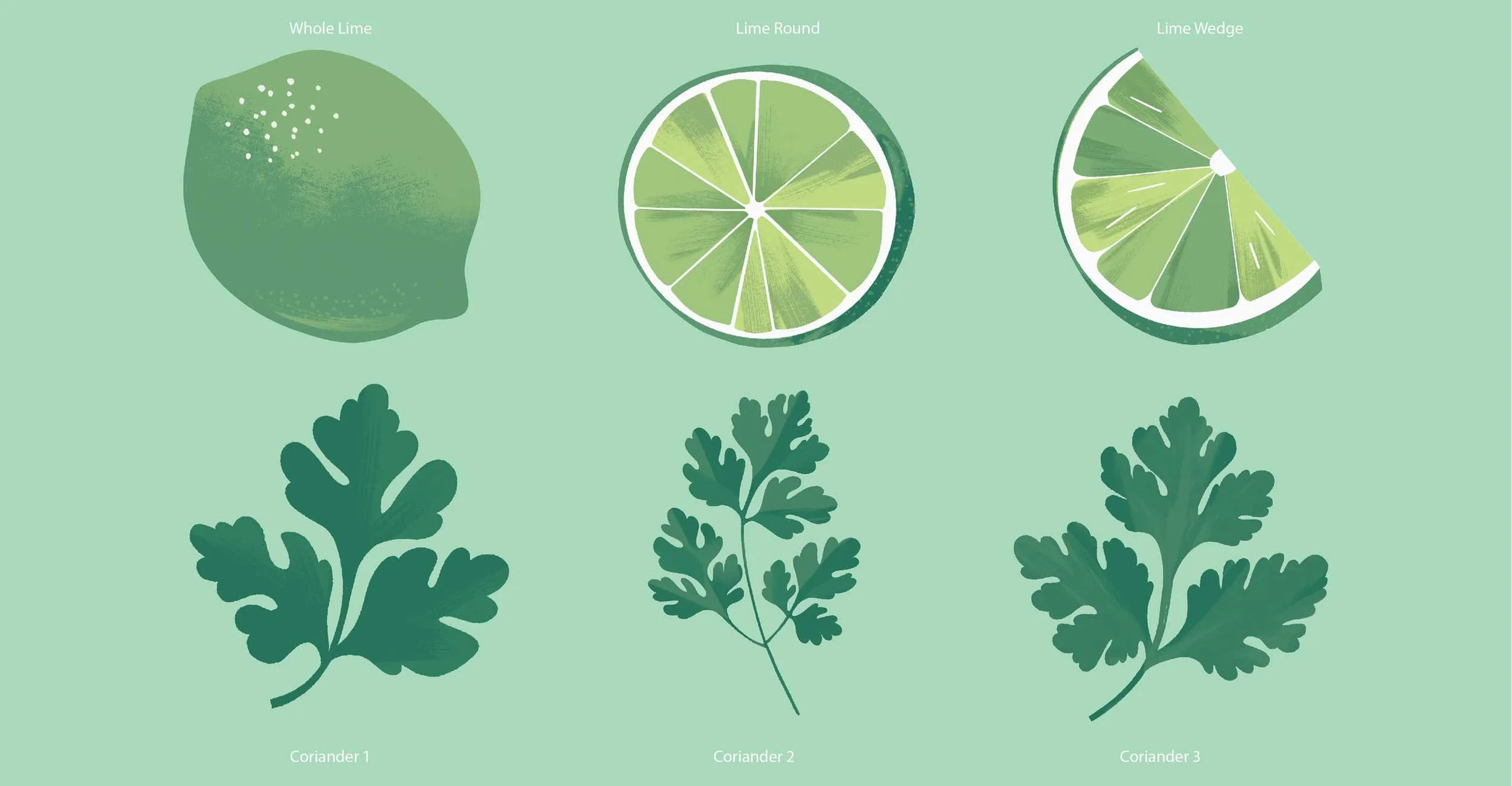 12Share 4@72x-20.jpg