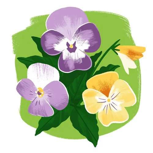 Drew-Bardana_Icons__2_Titletown-Spring-Scavenger-Illustration.jpg