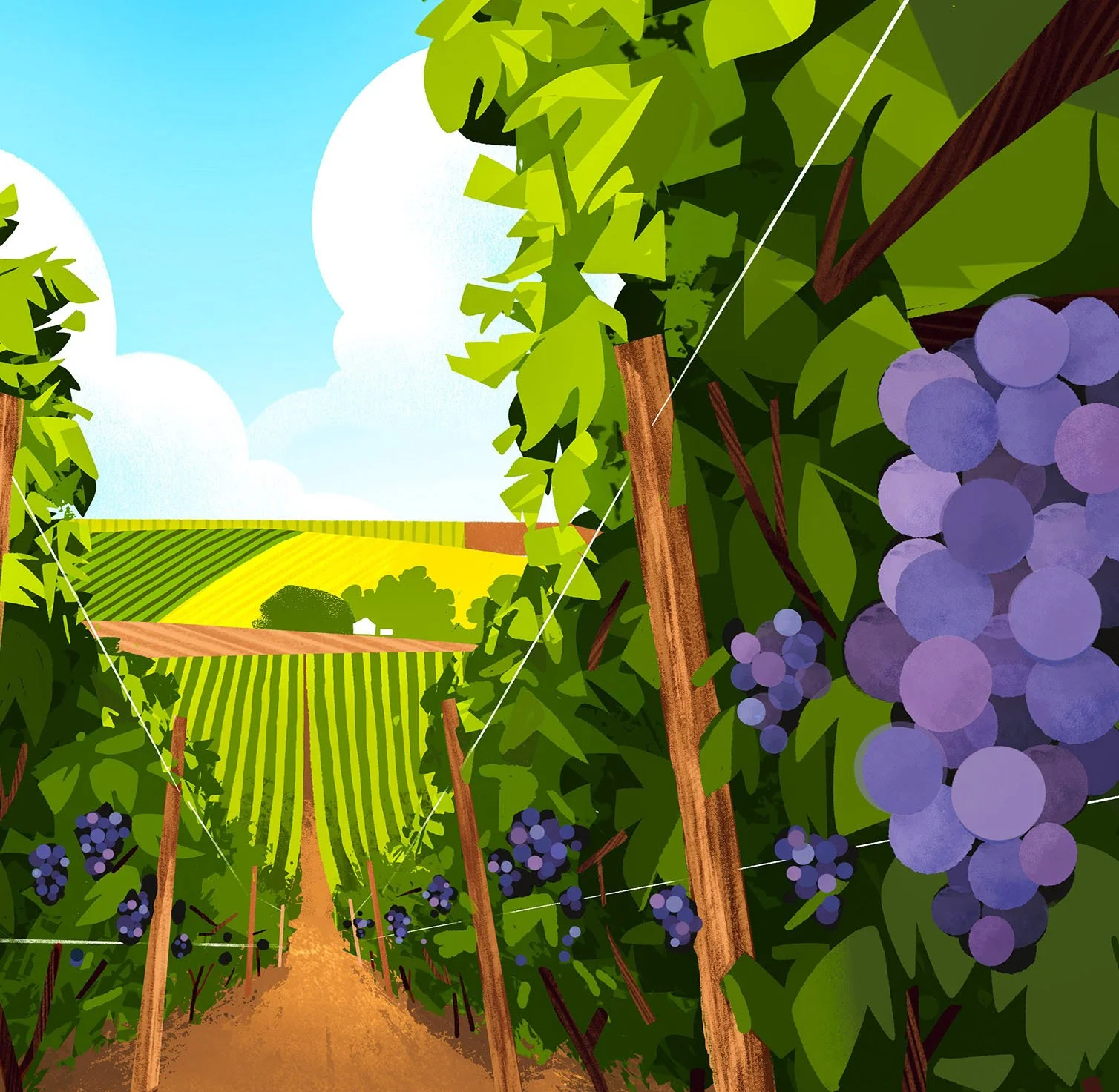 Drew-Bardana_Brand-Illustration_New-Seasons-Market_Product-Tote-Bag_3.jpg