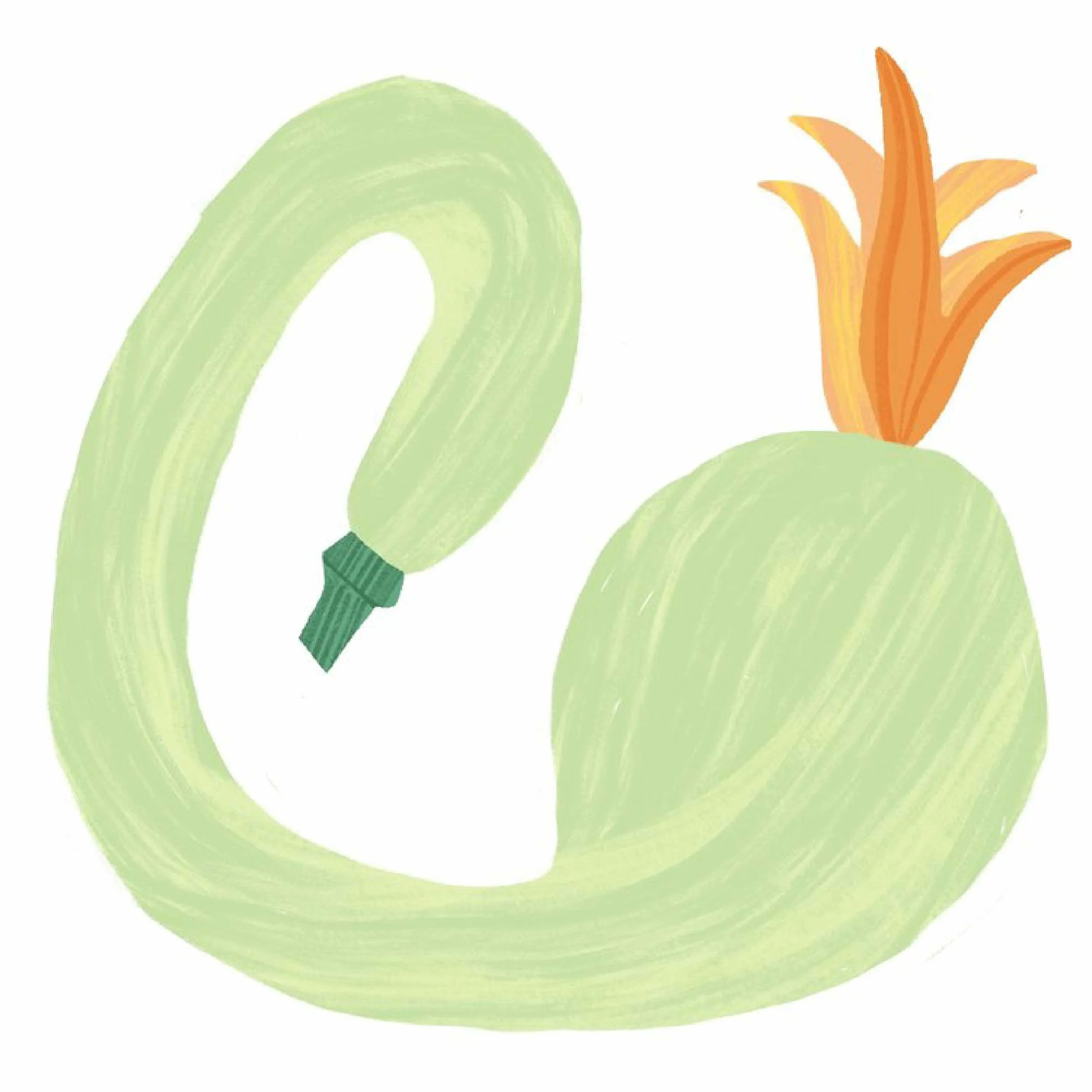 Drew-Bardana_Food-Illustration_Italian-Foods_4.jpg