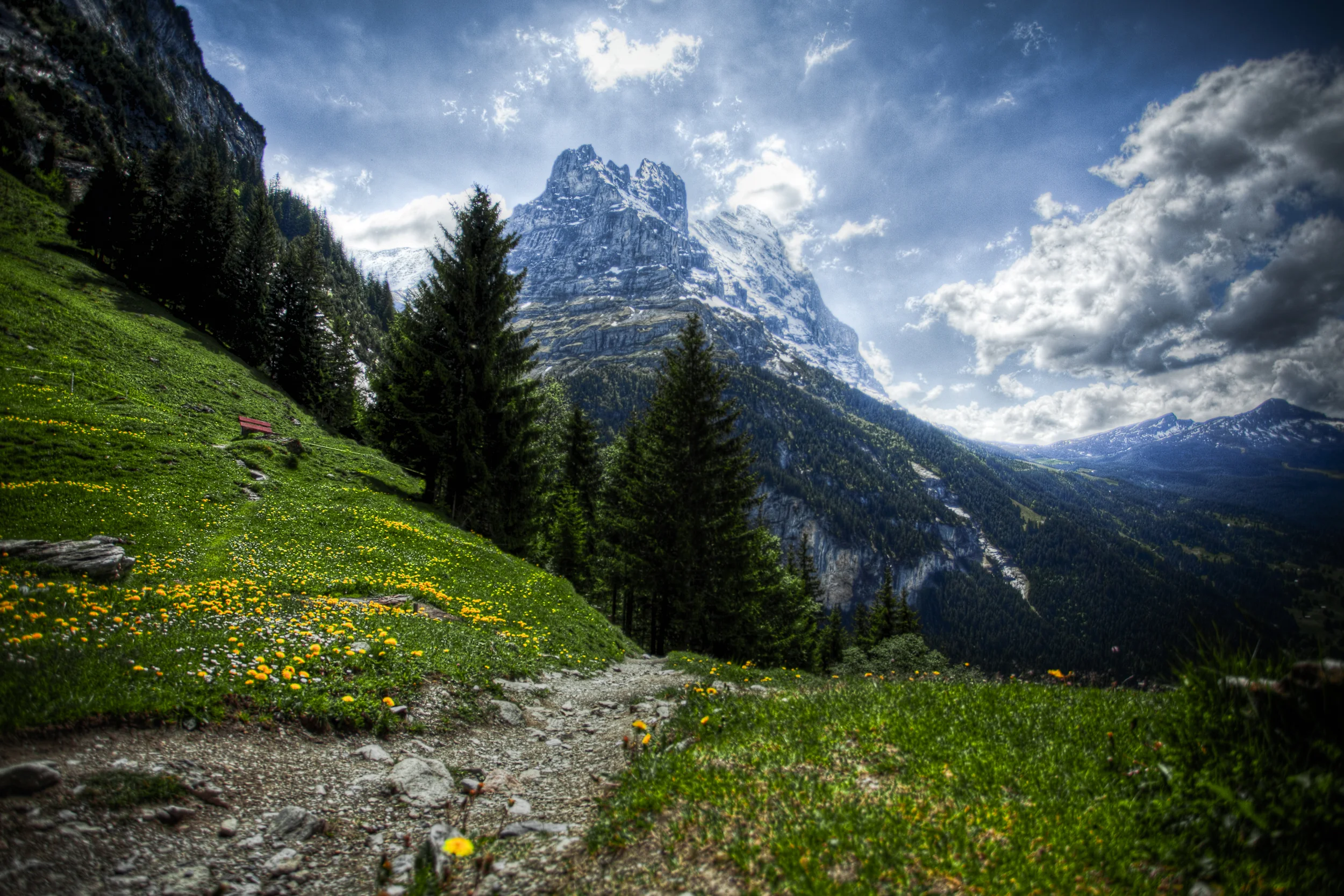 untitled-899-Edit.jpg
