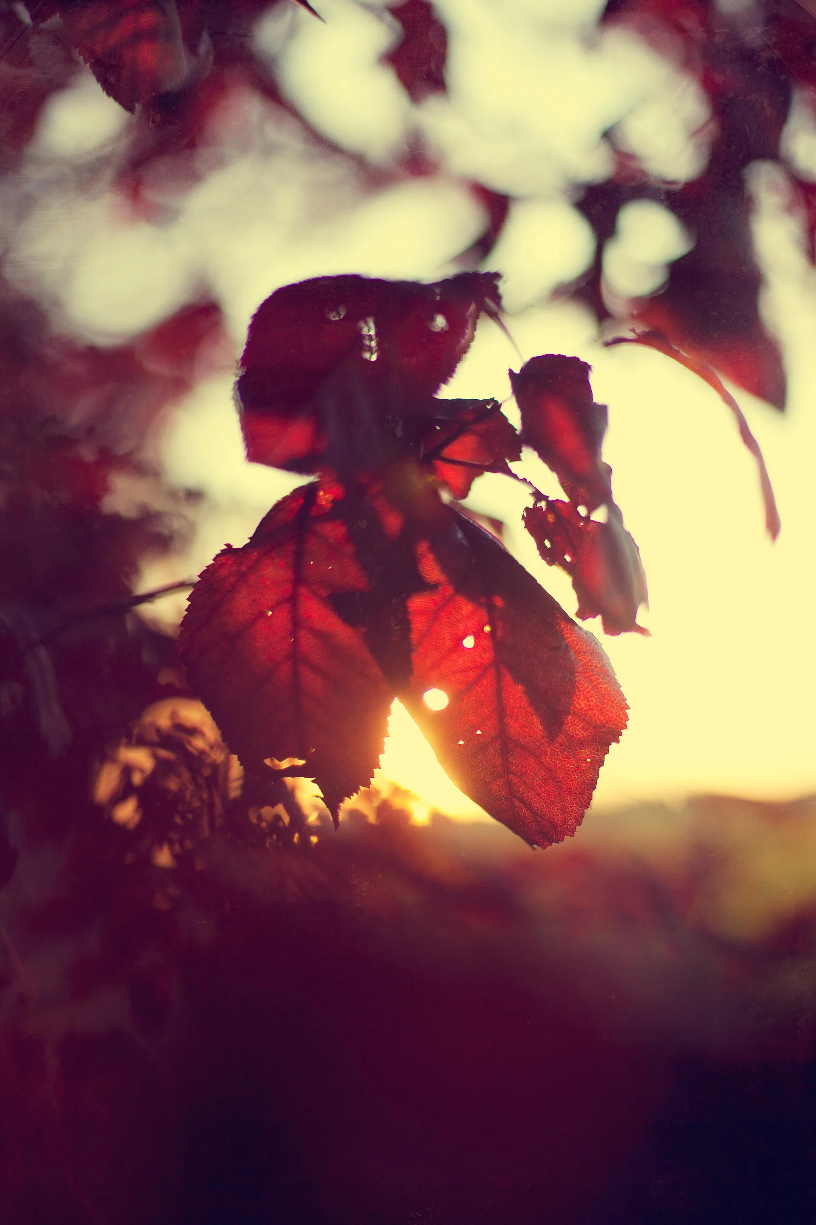 untitled-1536-Edit.jpg