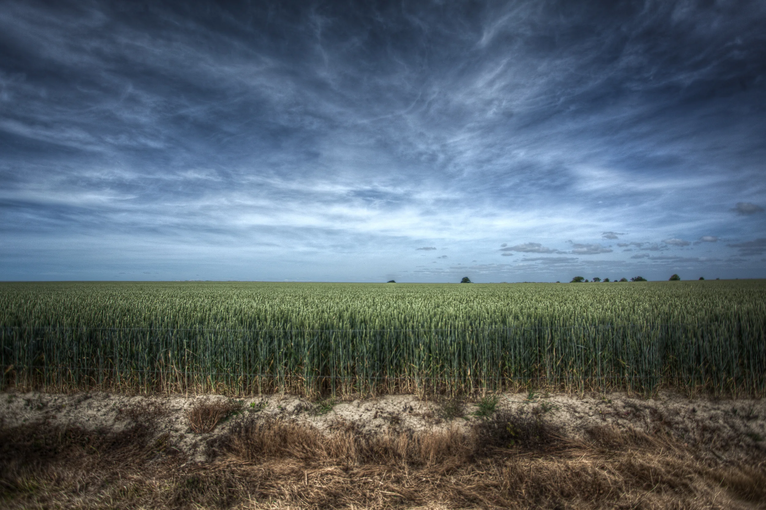 untitled-1852-Edit.jpg
