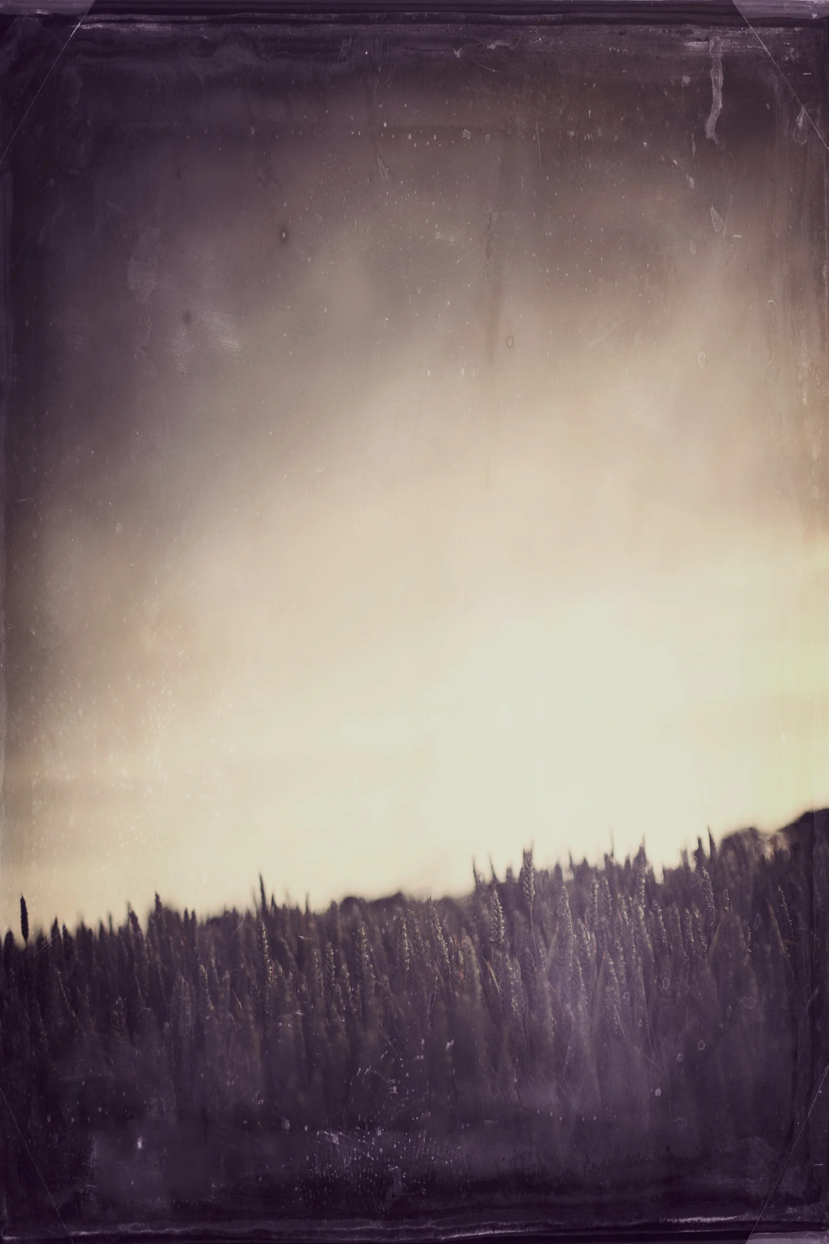 untitled-2322-Edit.jpg