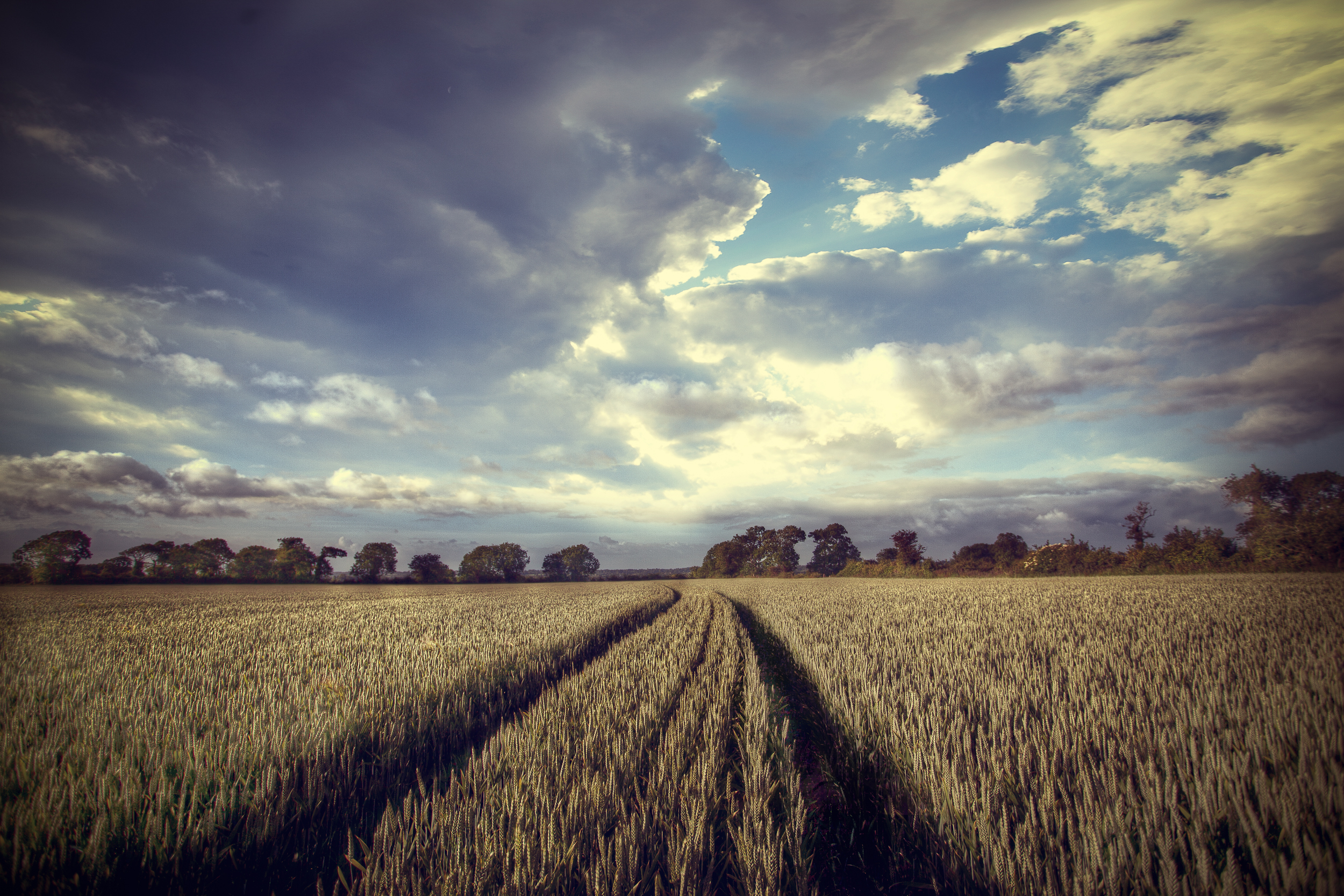 untitled-2277-Edit-Edit.jpg