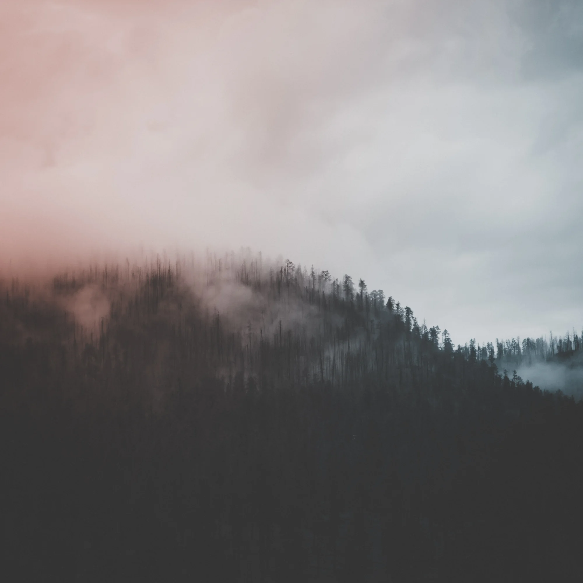 mextures-2.jpg