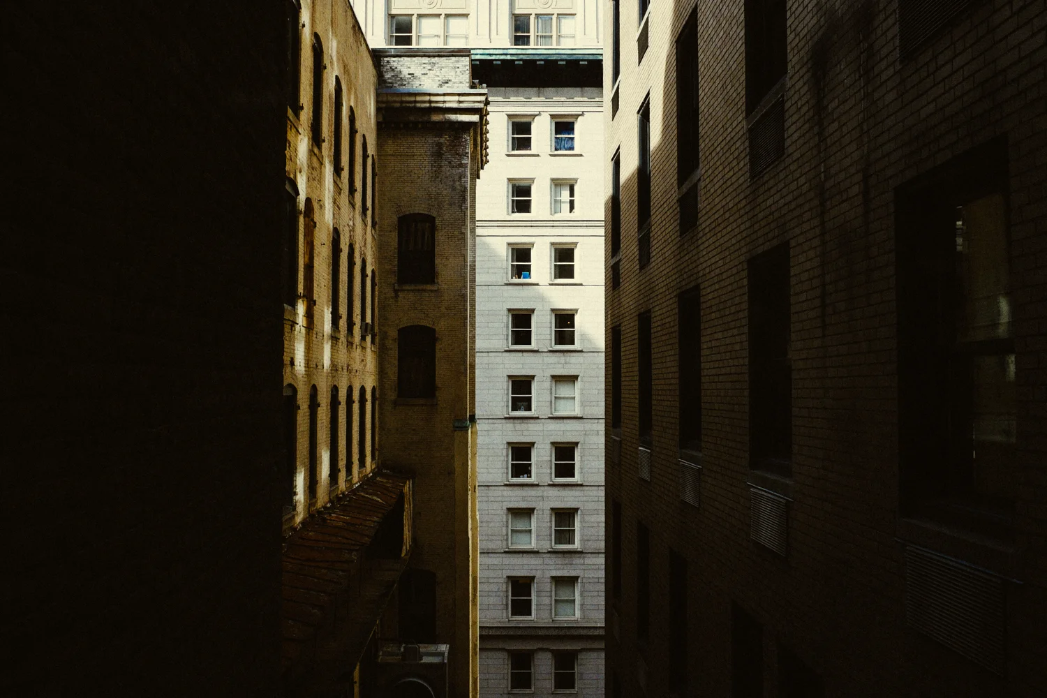 DSCF2688.jpg
