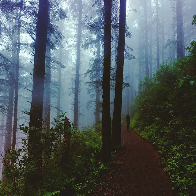 729283244376035349_4067915.png