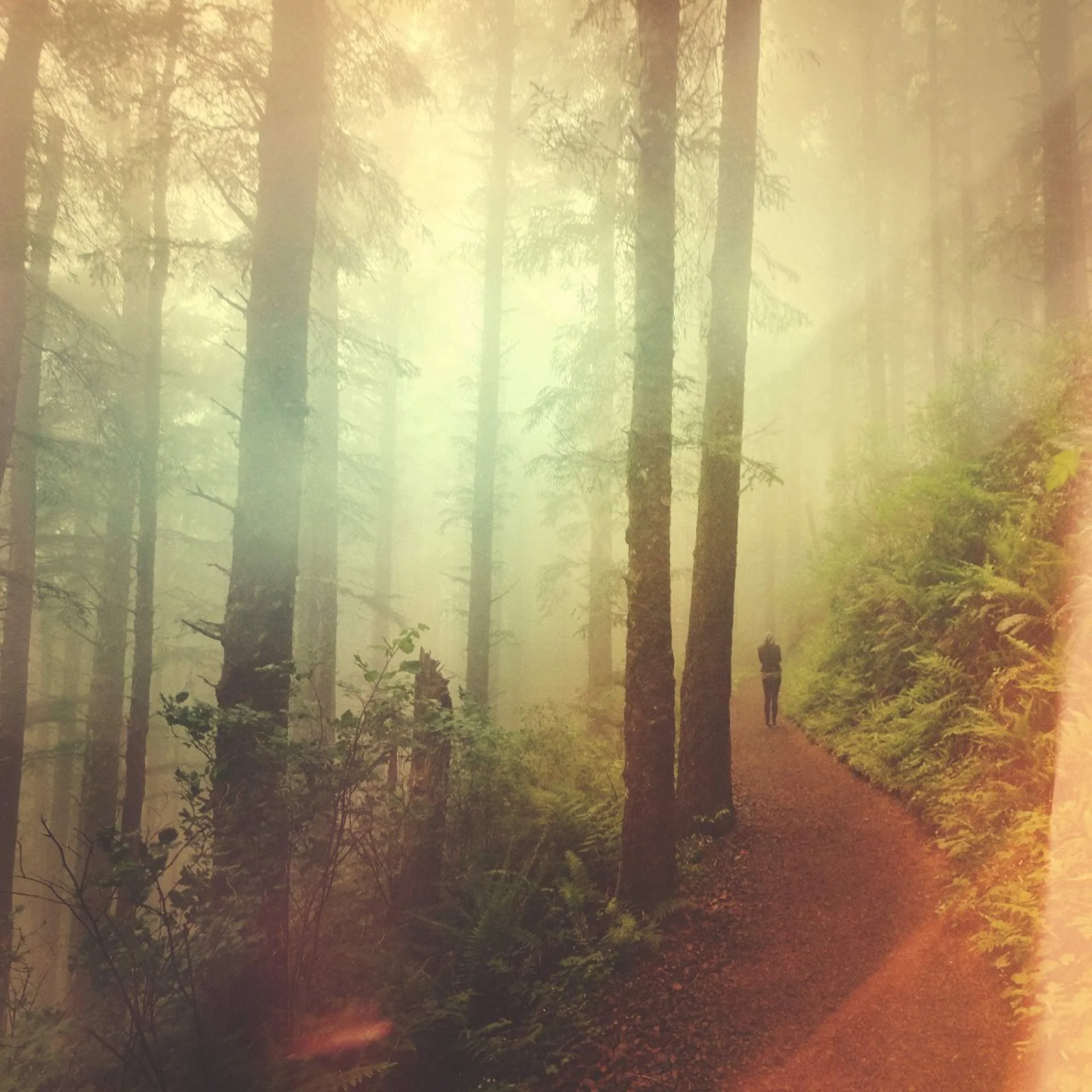 PNW.jpg