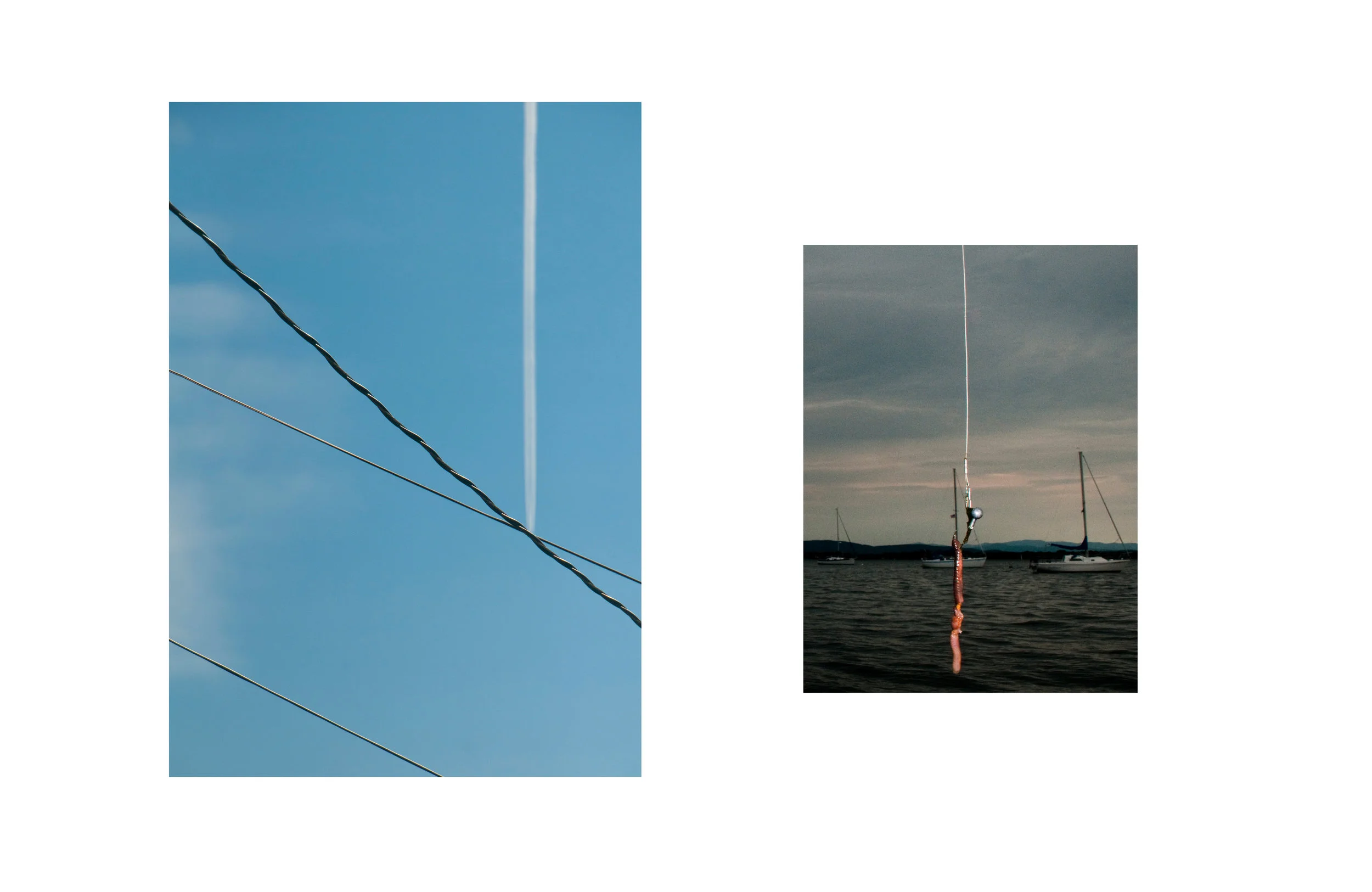 fish sky.jpg
