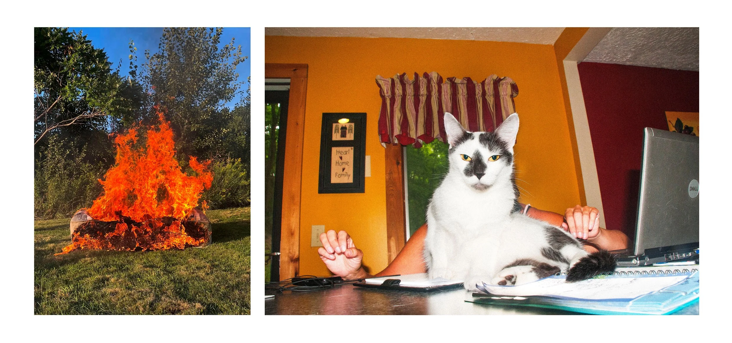 FIRE FACE CAT.jpg