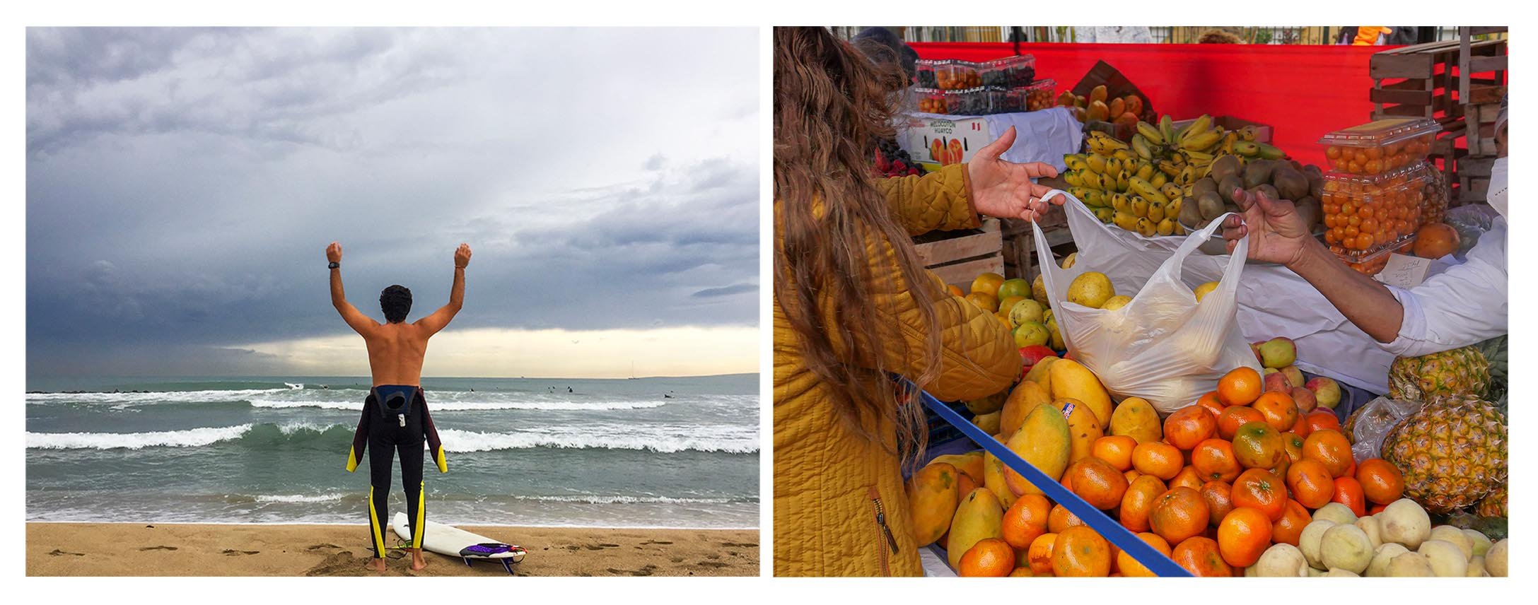 JORGE FRUIT BAG.jpg