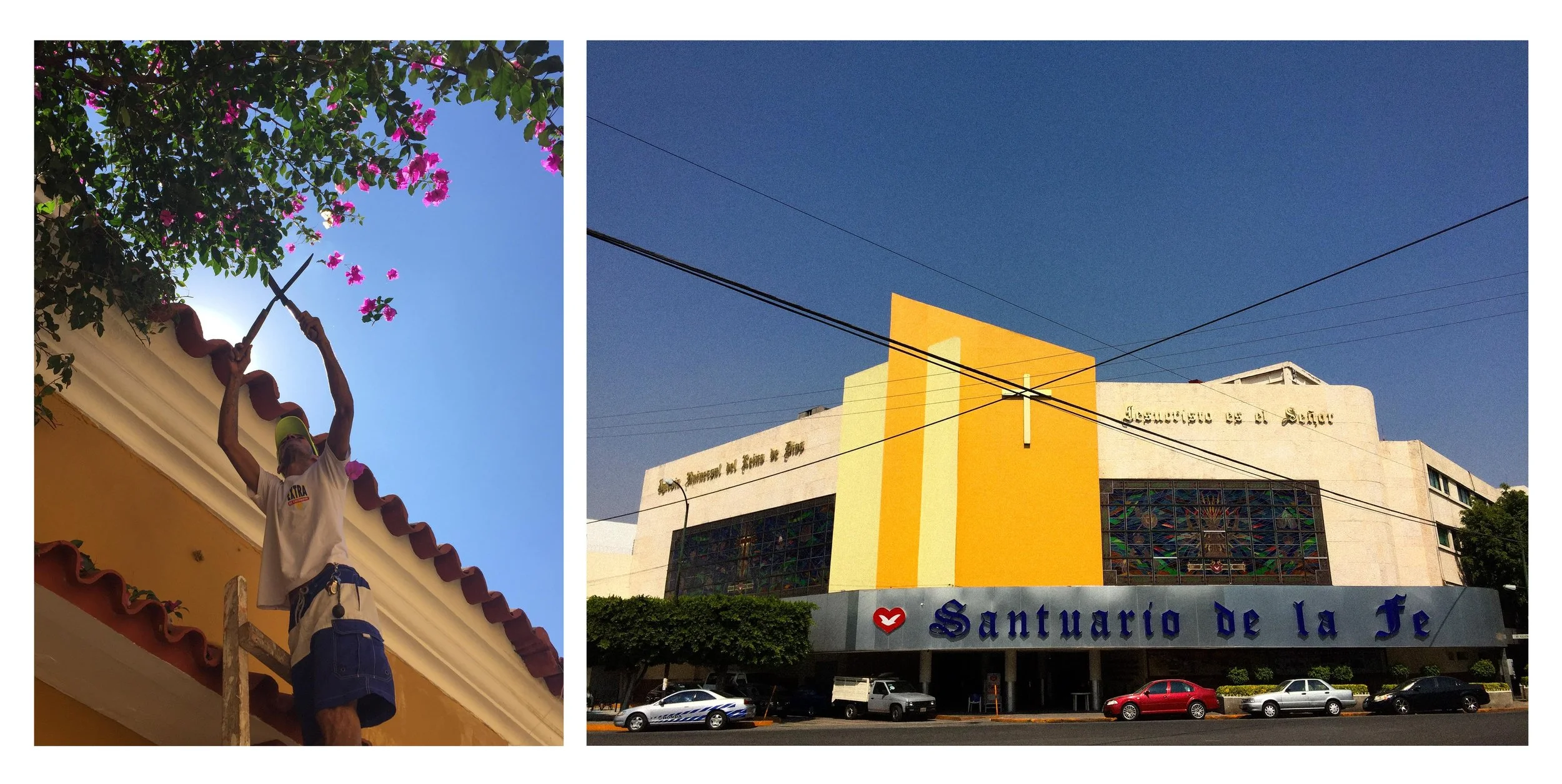 CROSS CUTFLOWERS.jpg