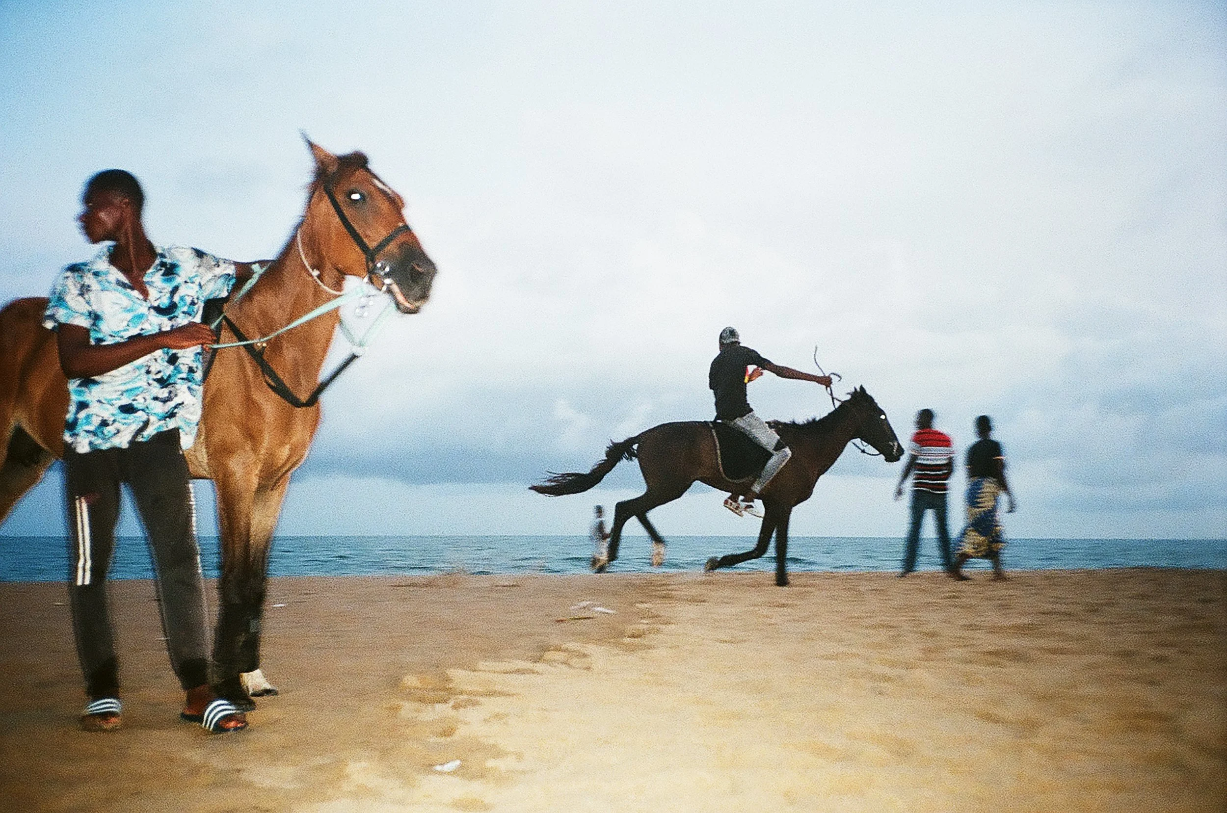 HORSE PIC_ROZE 1.jpg