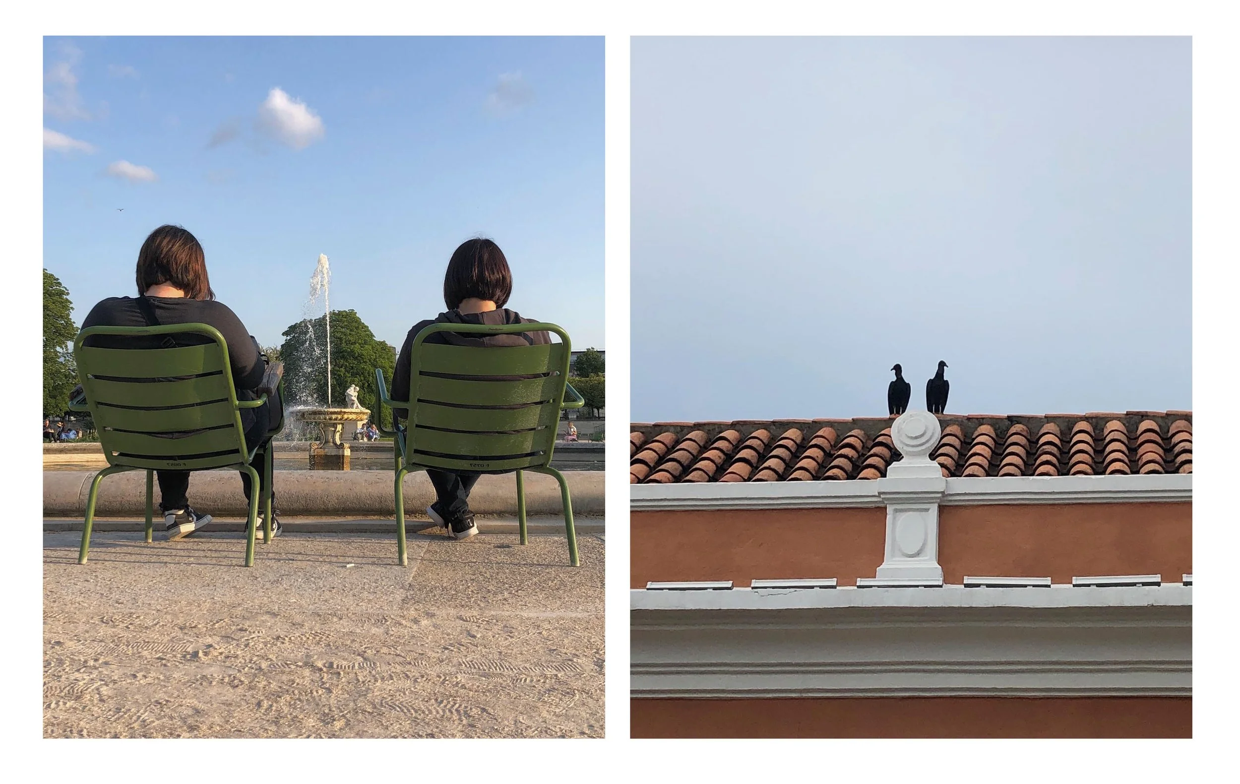 birds and hair.jpg