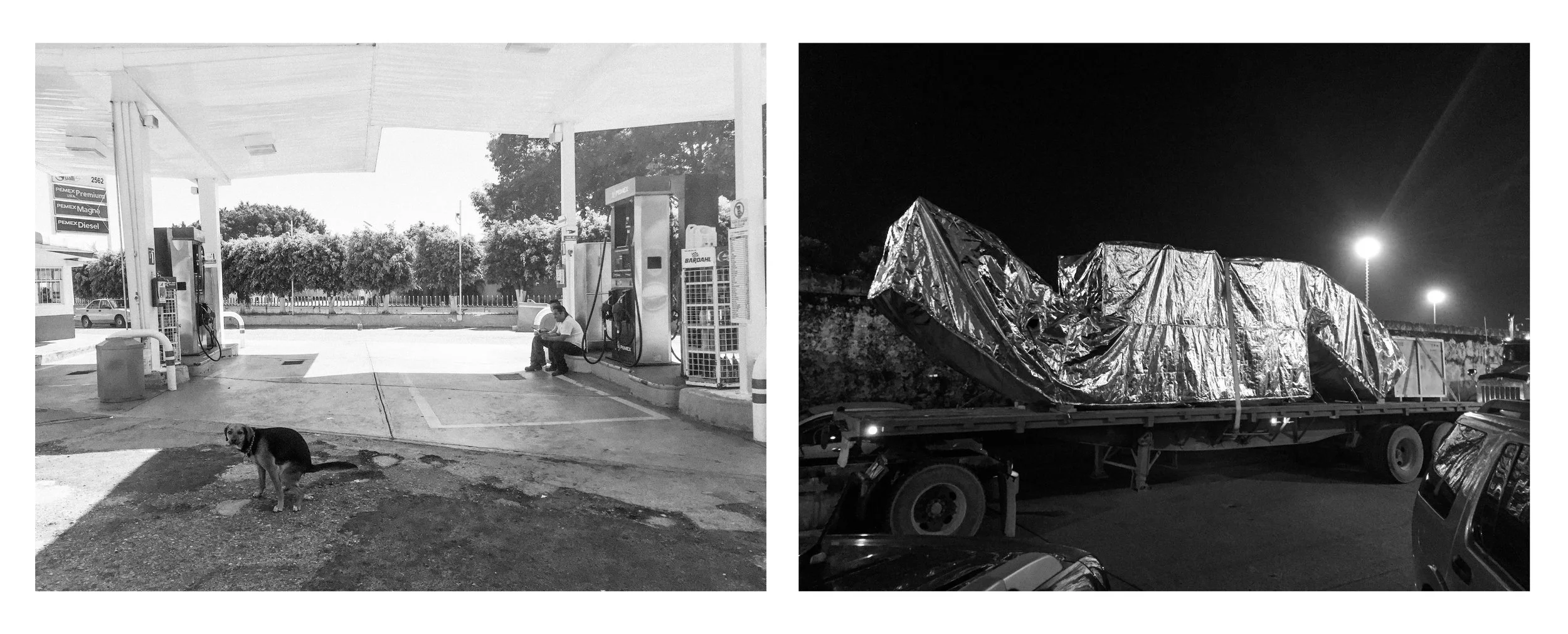 dog truck.jpg