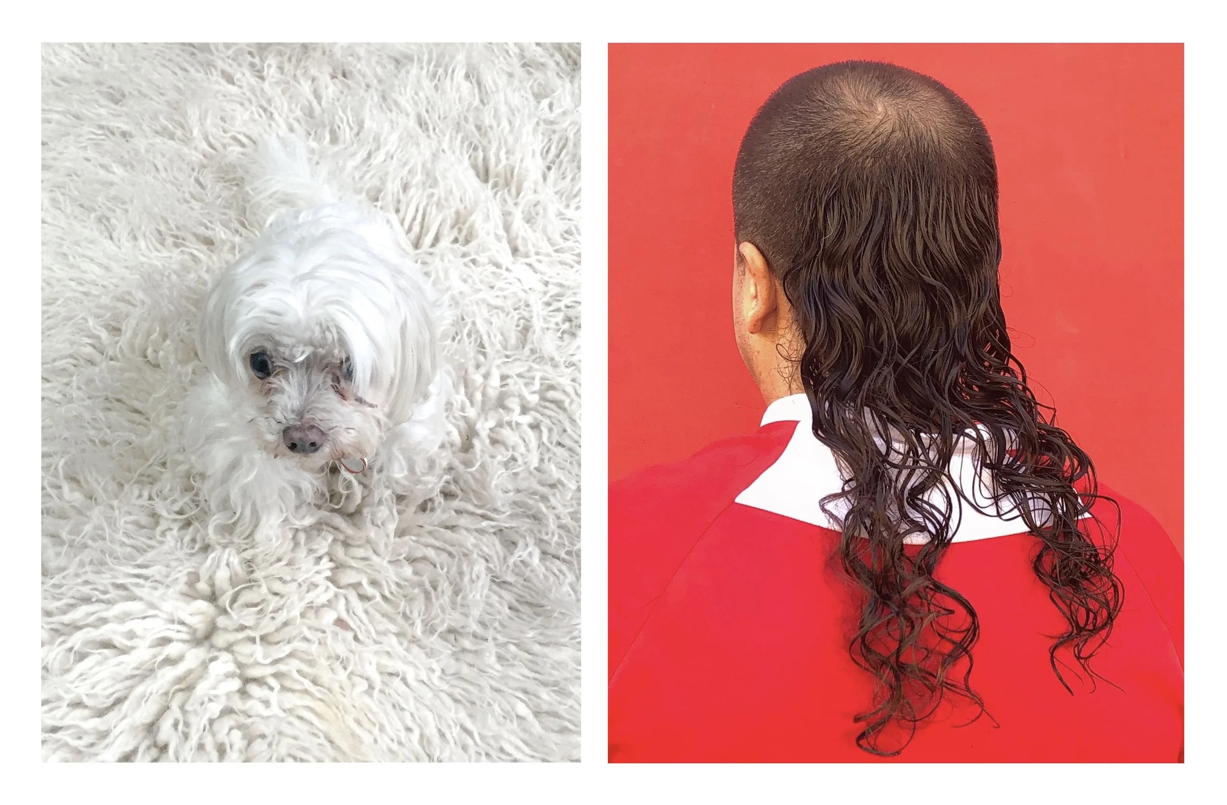 WHITEDOG MULLET.jpg