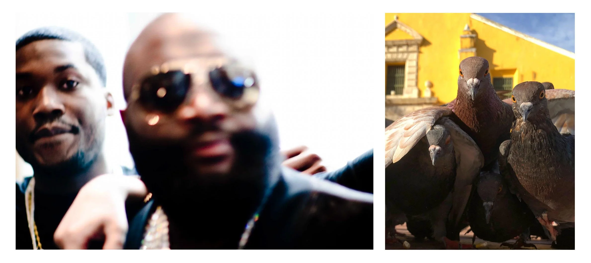 rick ross birds.jpg