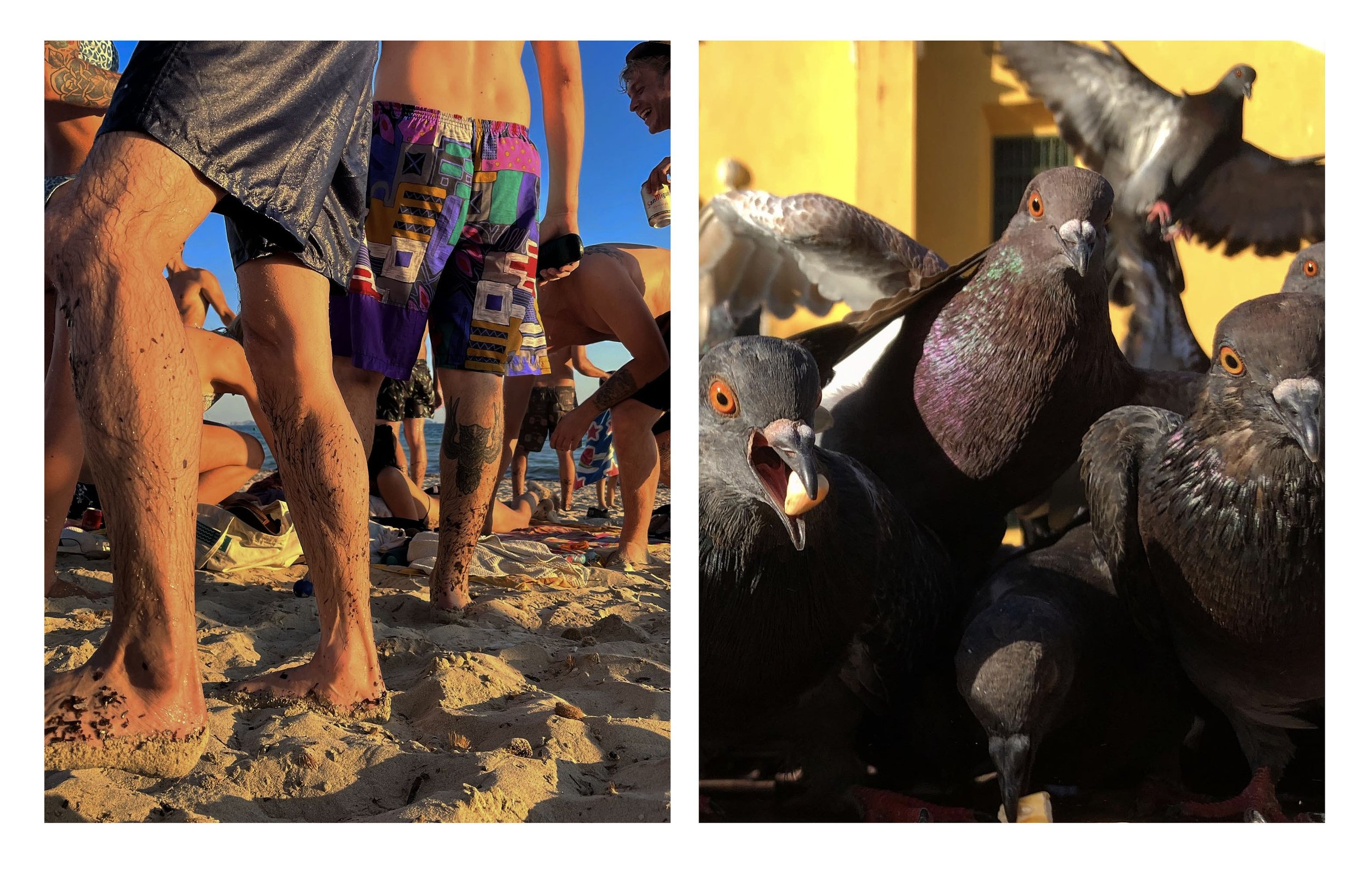 legs on beach birds-1.jpg