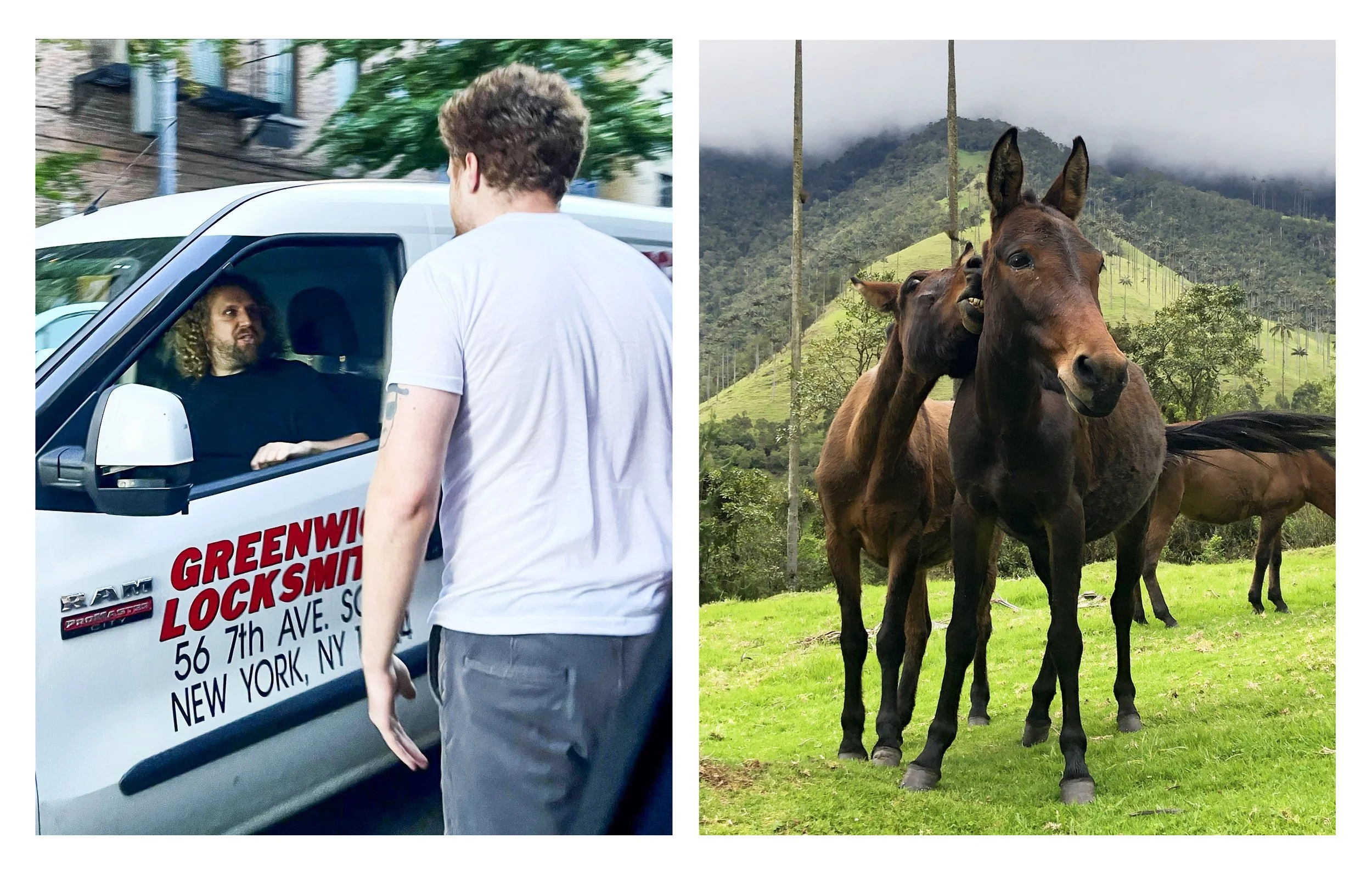 horse and van guy.jpg