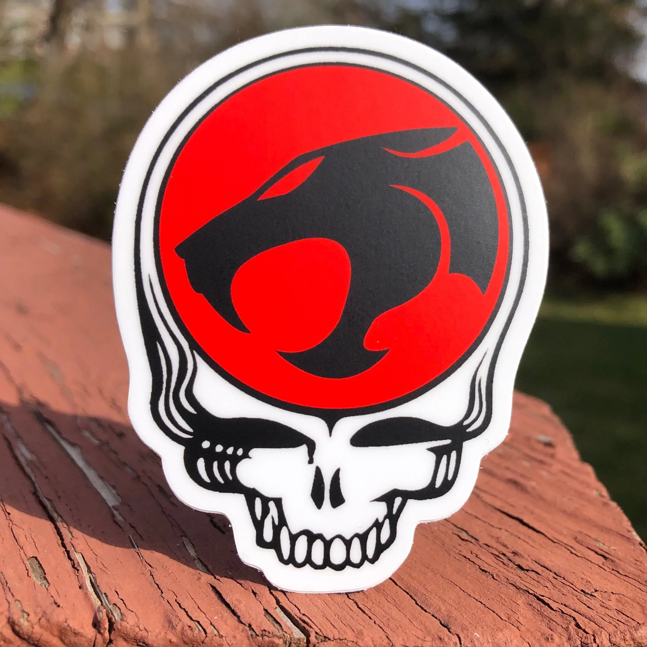 19BB61A9-ABF6-4891-B28A-8E0326218C50