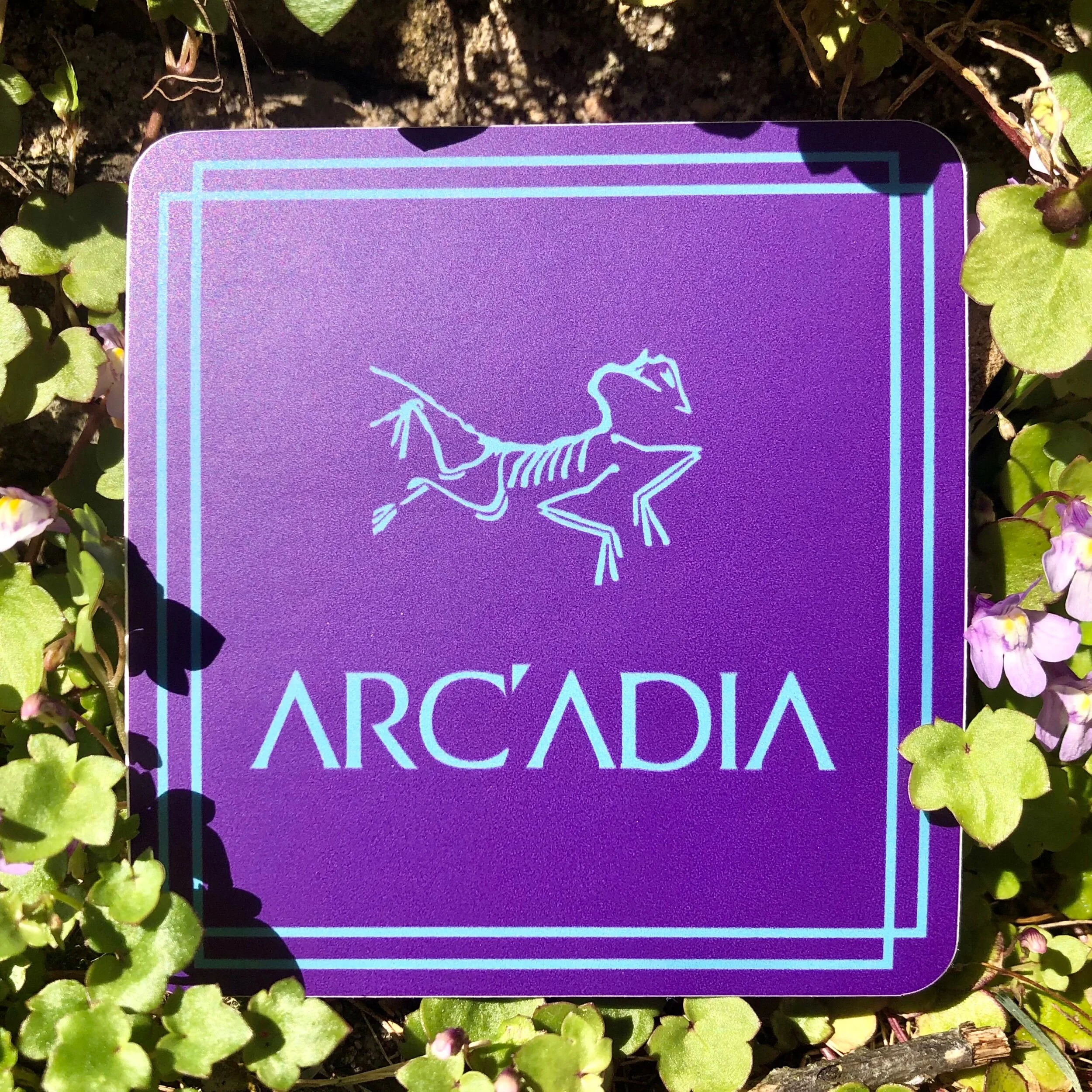 2C49EDCD-BE76-498D-9BF8-57D80E1F93EE