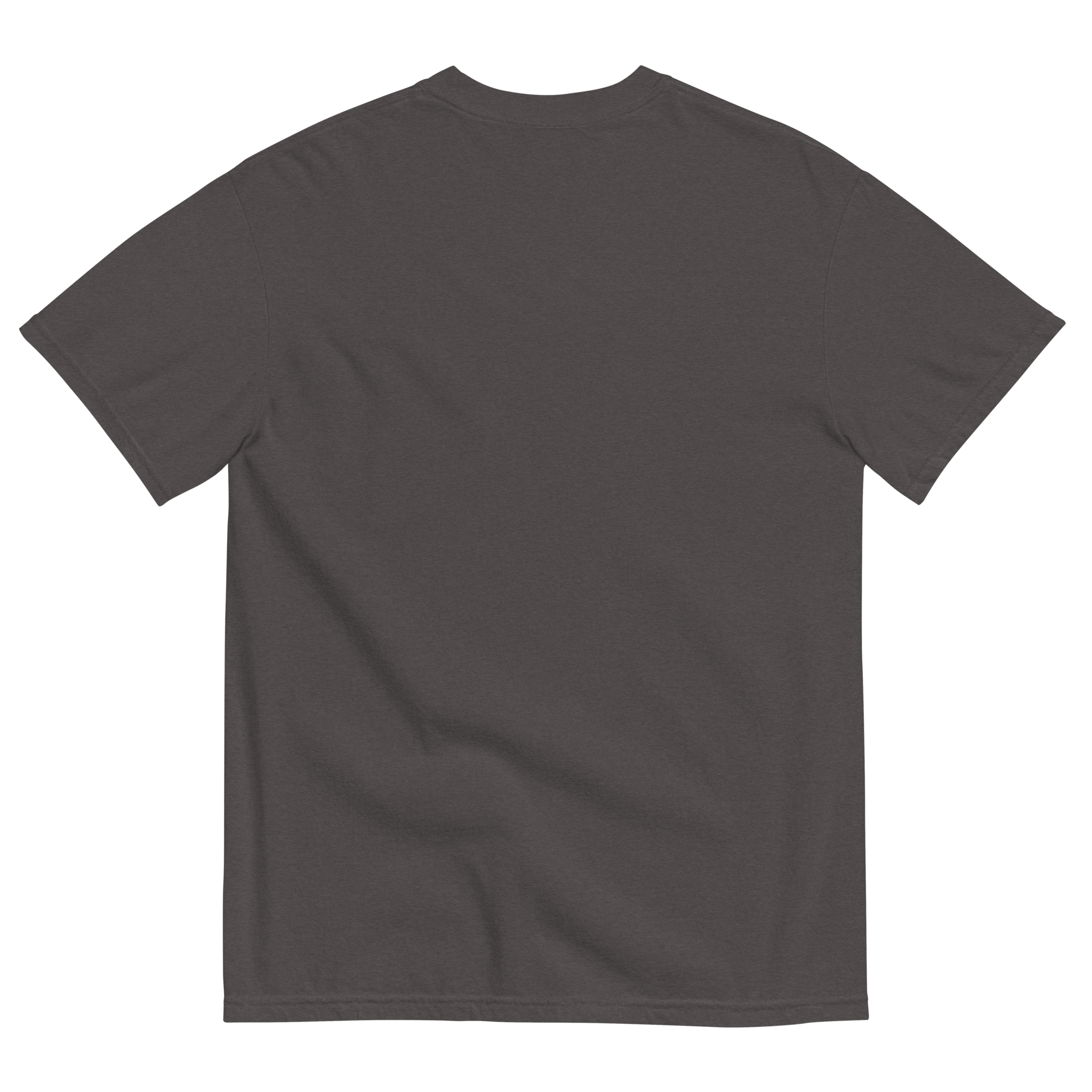 unisex-garment-dyed-heavyweight-t-shirt-graphite-back-6a8bc273c3c84.png
