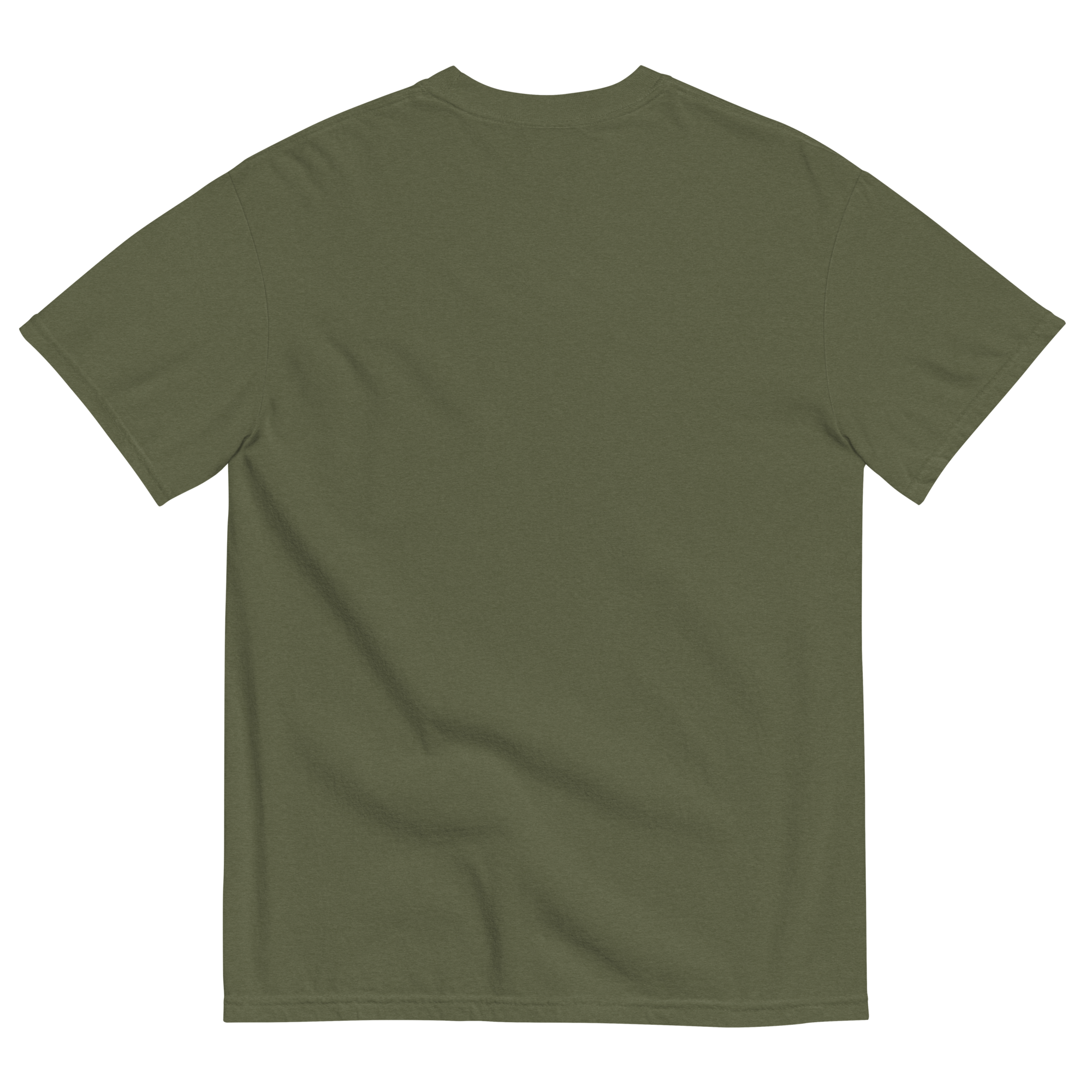 unisex-garment-dyed-heavyweight-t-shirt-hemp-back-6a8bc273c4864.png