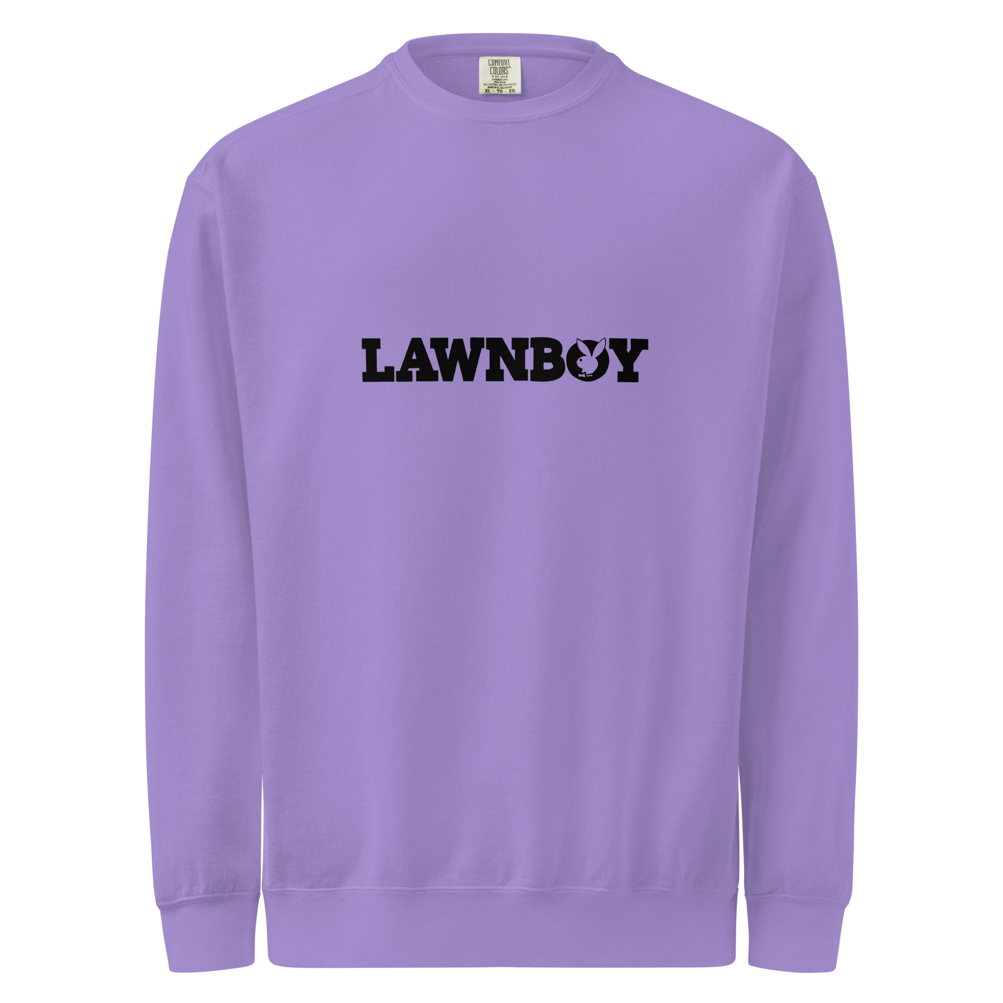 unisex-garment-dyed-sweatshirt-violet-front-6ab33168a118f.png