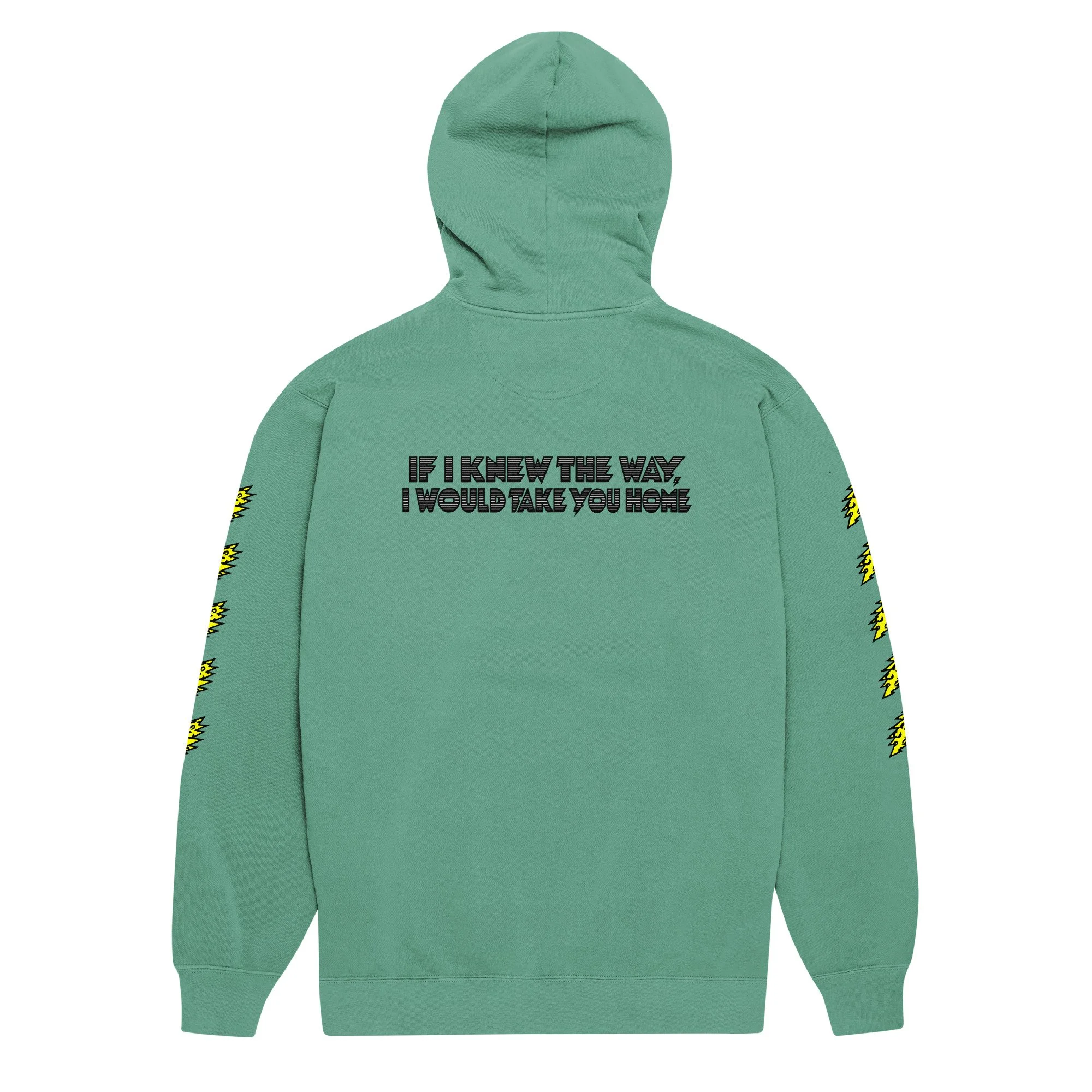 unisex-garment-dyed-hooded-sweatshirt-i-comfort-colors-1567-seafoam-back-6ab7ef86d6535.jpg