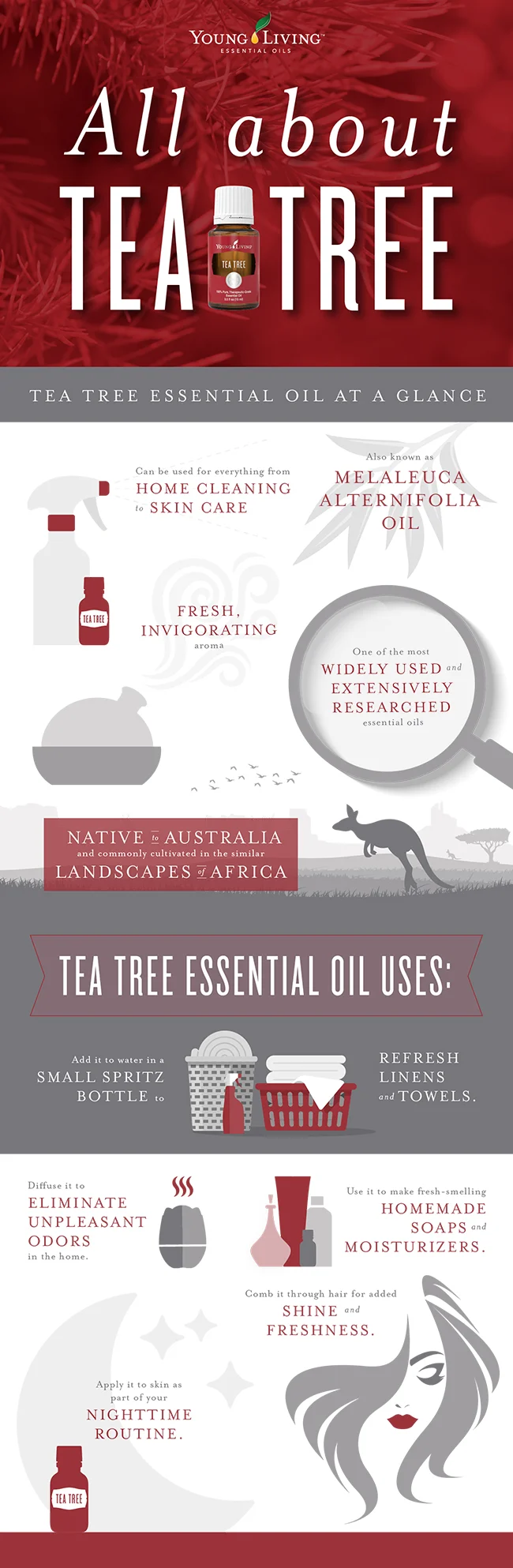 AllAboutTeaTreeBlogPost_Infographic_US-1.jpg