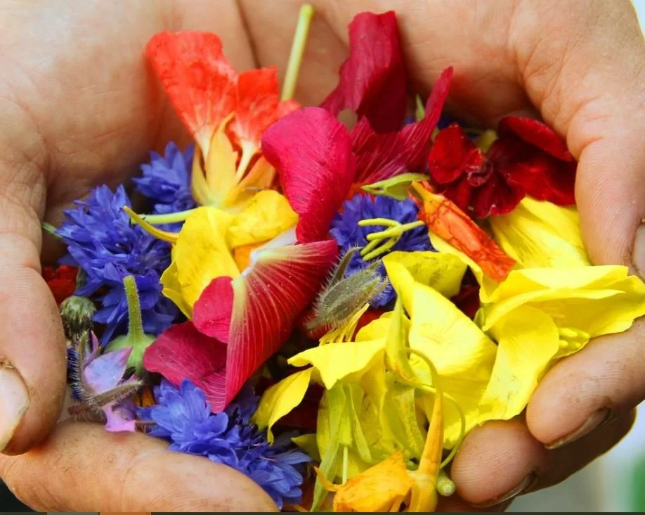 May 2023 💫 Kindness 💫 Rose Quartz