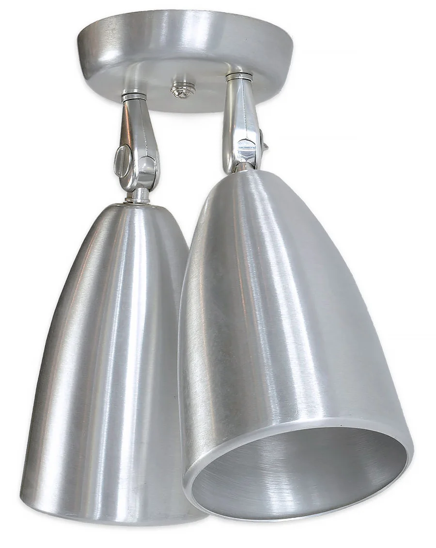 45352-two-light-aluminum-fixture-angle.jpg