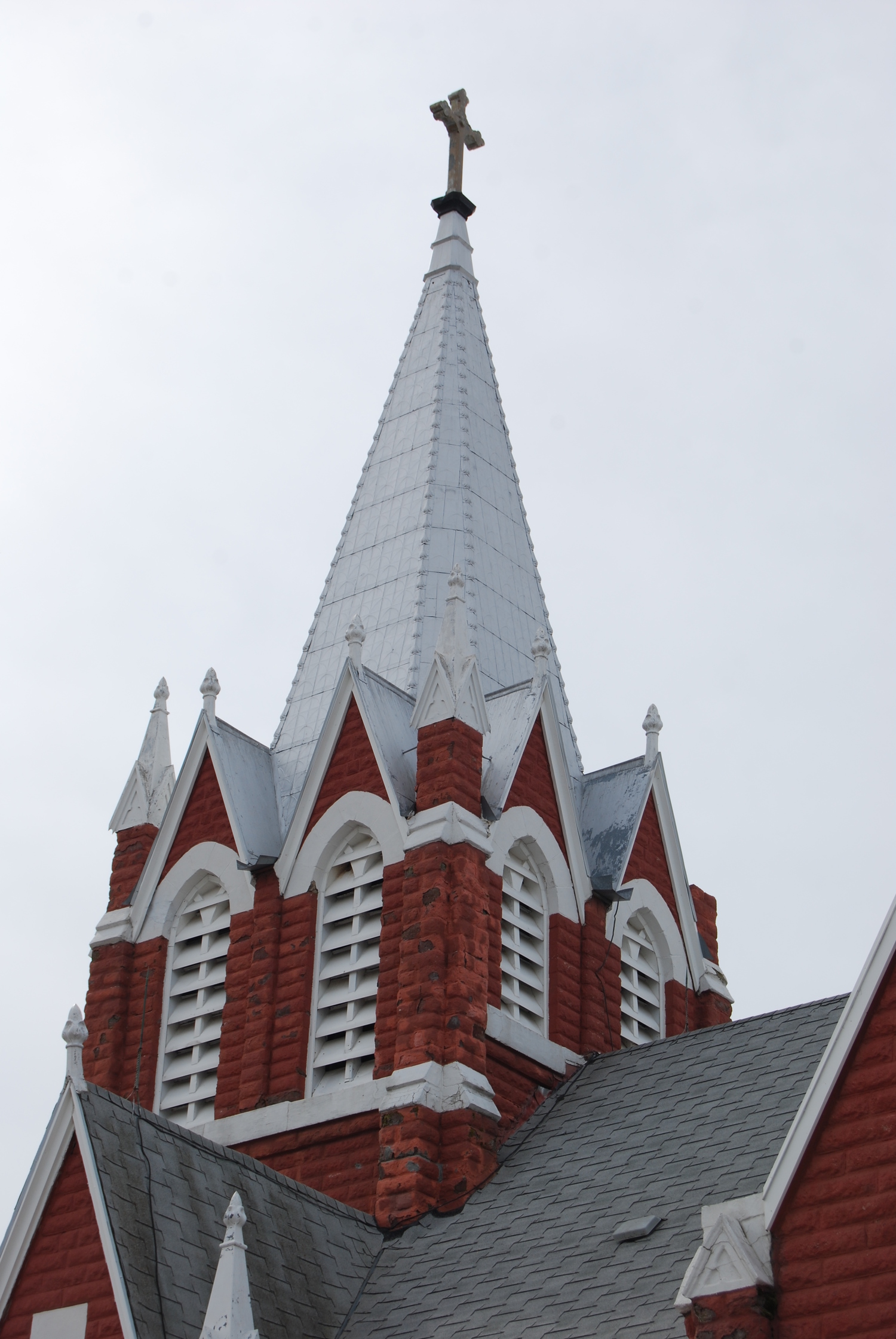 DSC_0973.jpg