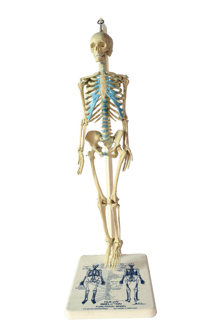small-skeleton
