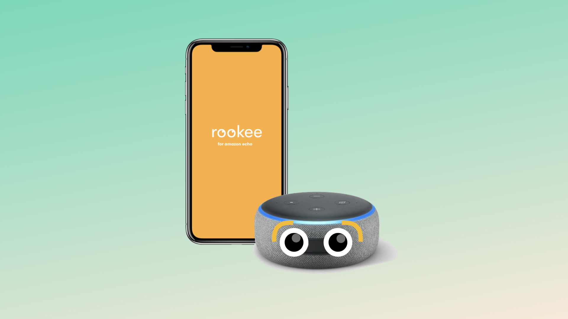 rookee-v1.001.jpeg