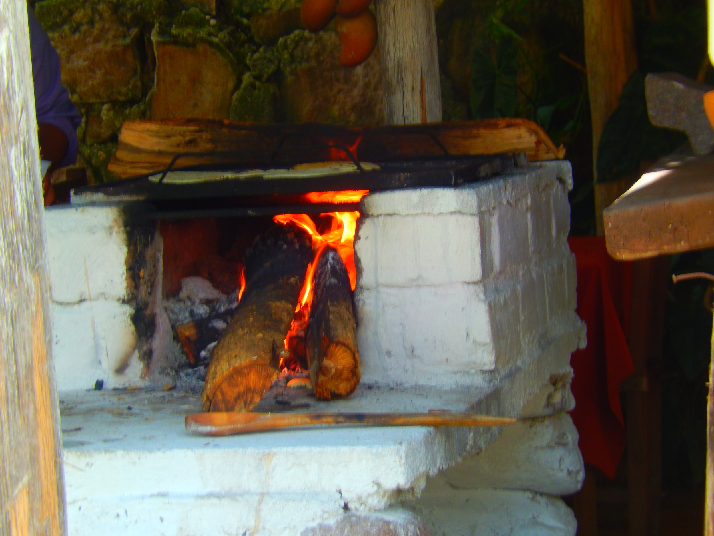 VILMA HONDURAS 111.jpg