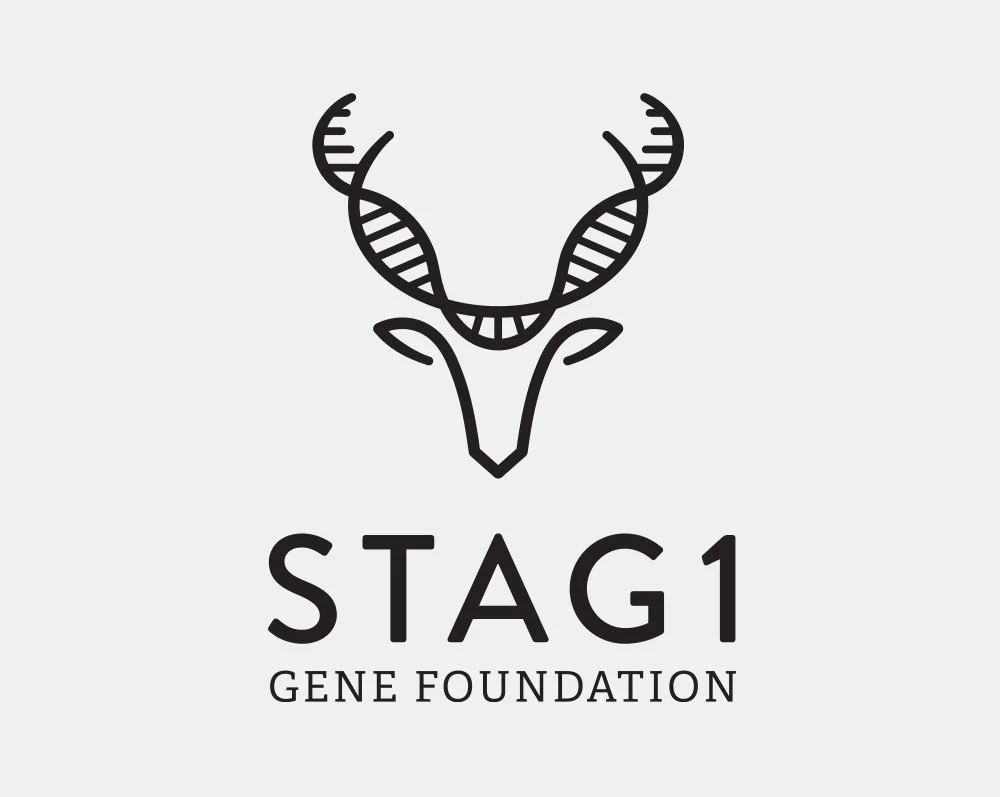 Logo_Stag1.jpg