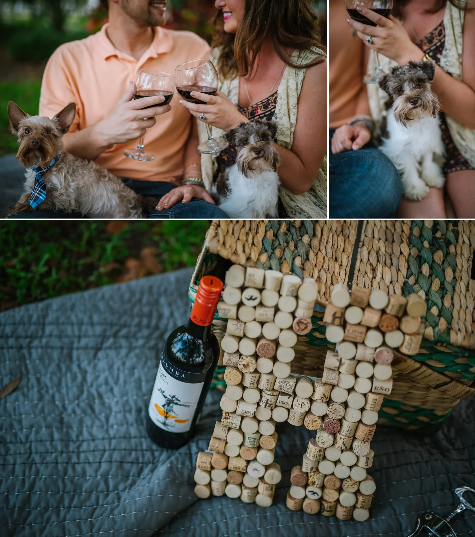 Dunedin-engagement-photography_0006.jpg