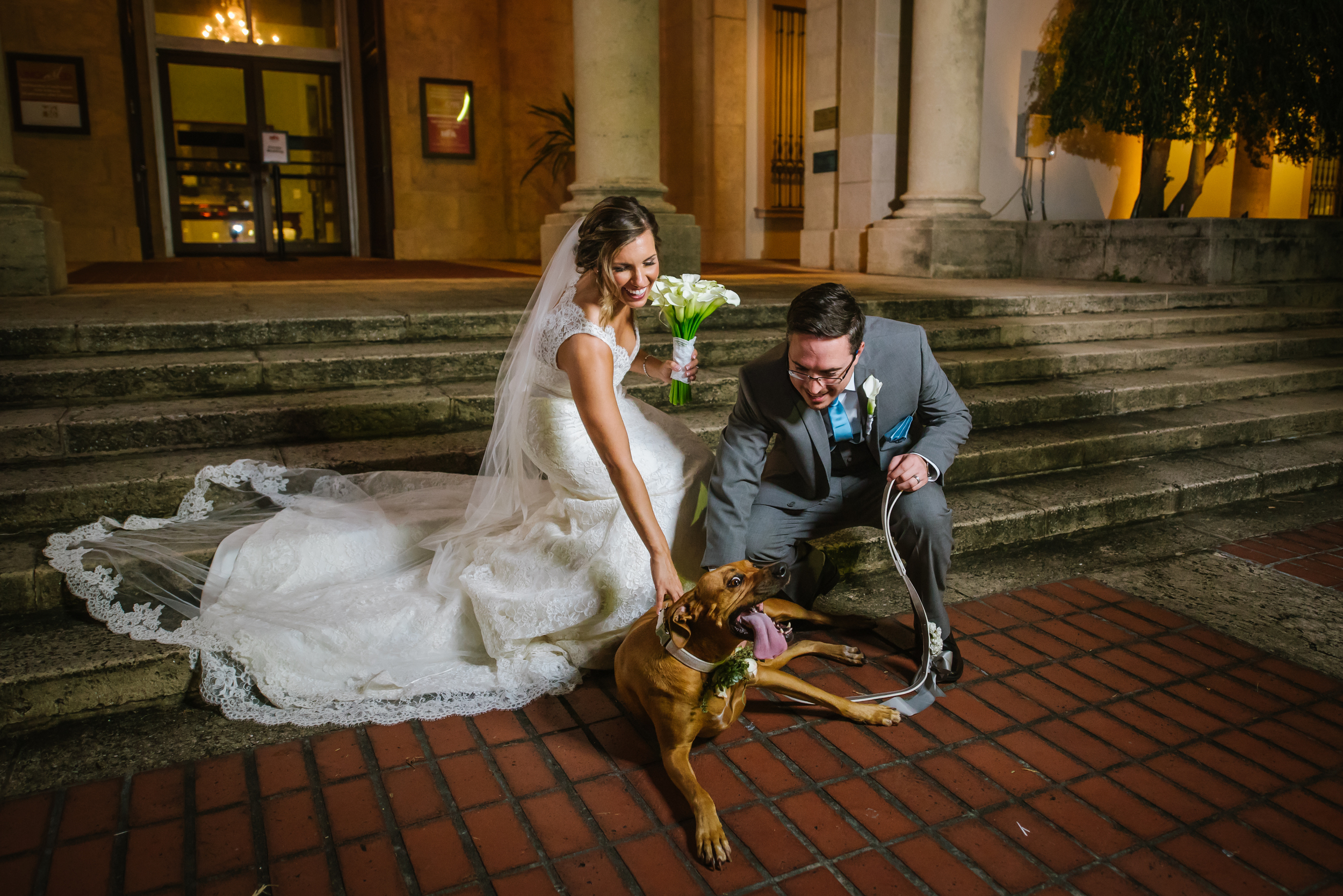 Mark and Jo had an amazing wedding day complete with their fur baby Phoebe! Her face, yep, sums it up.&nbsp;