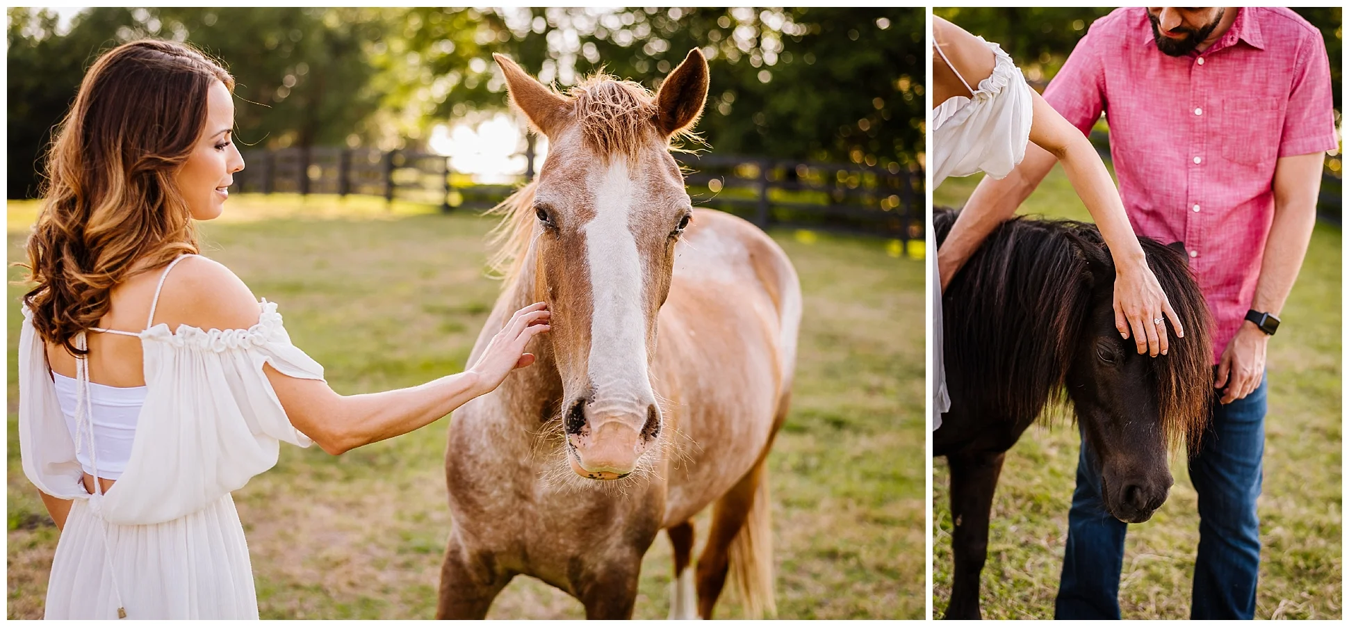 Tampa-sunset-horse-engagement session_0034.jpg