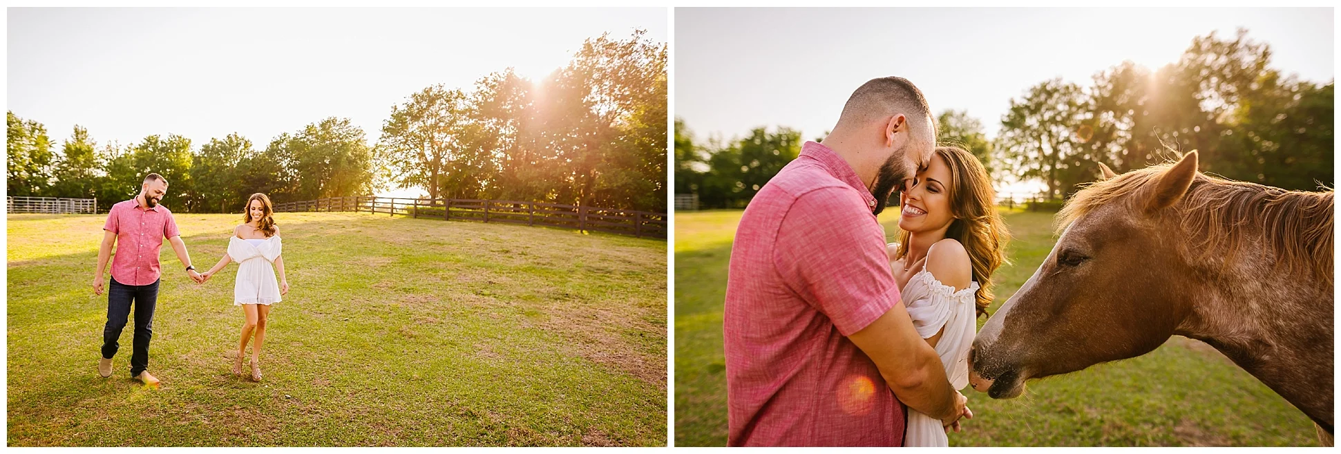Tampa-sunset-horse-engagement session_0038.jpg