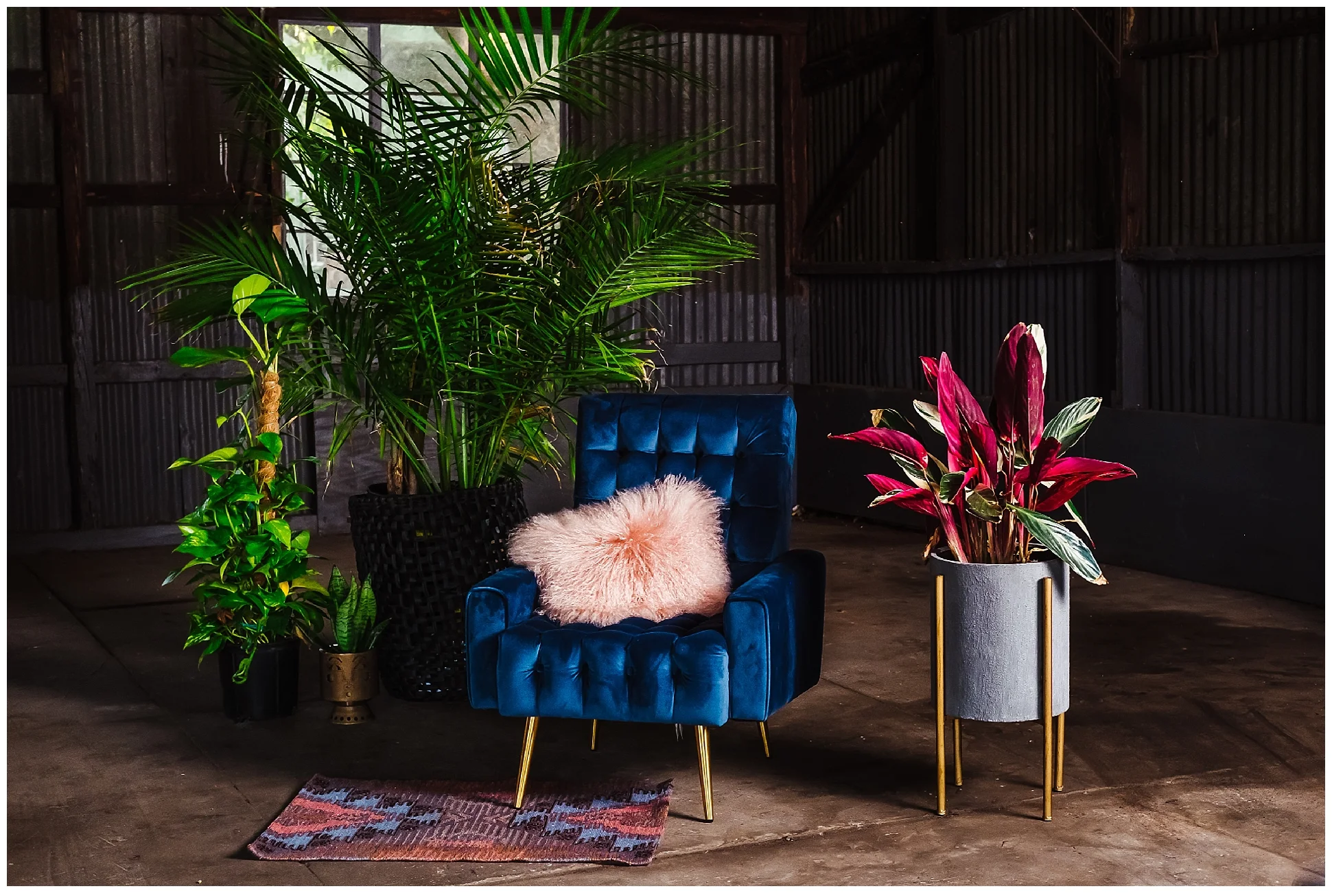 sophisticated-fun-colorful-interior design-headshots-inspiration_0057.jpg
